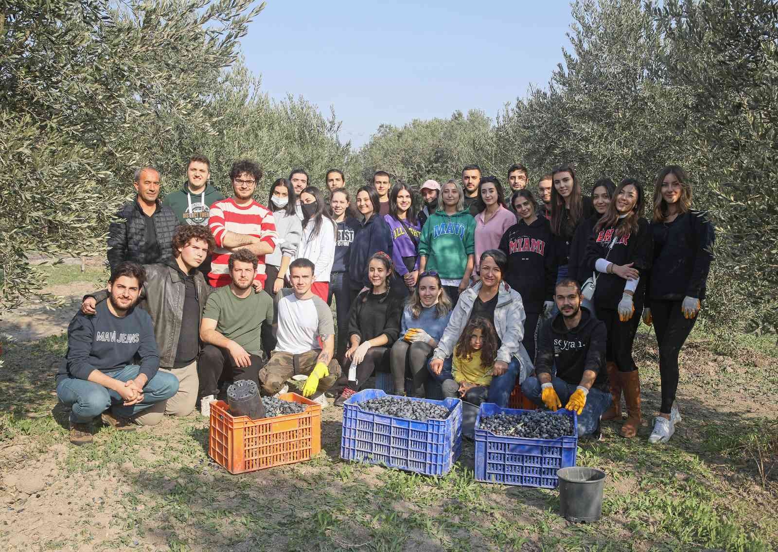 Üniversitelilerden gönüllü zeytin hasadı #izmir