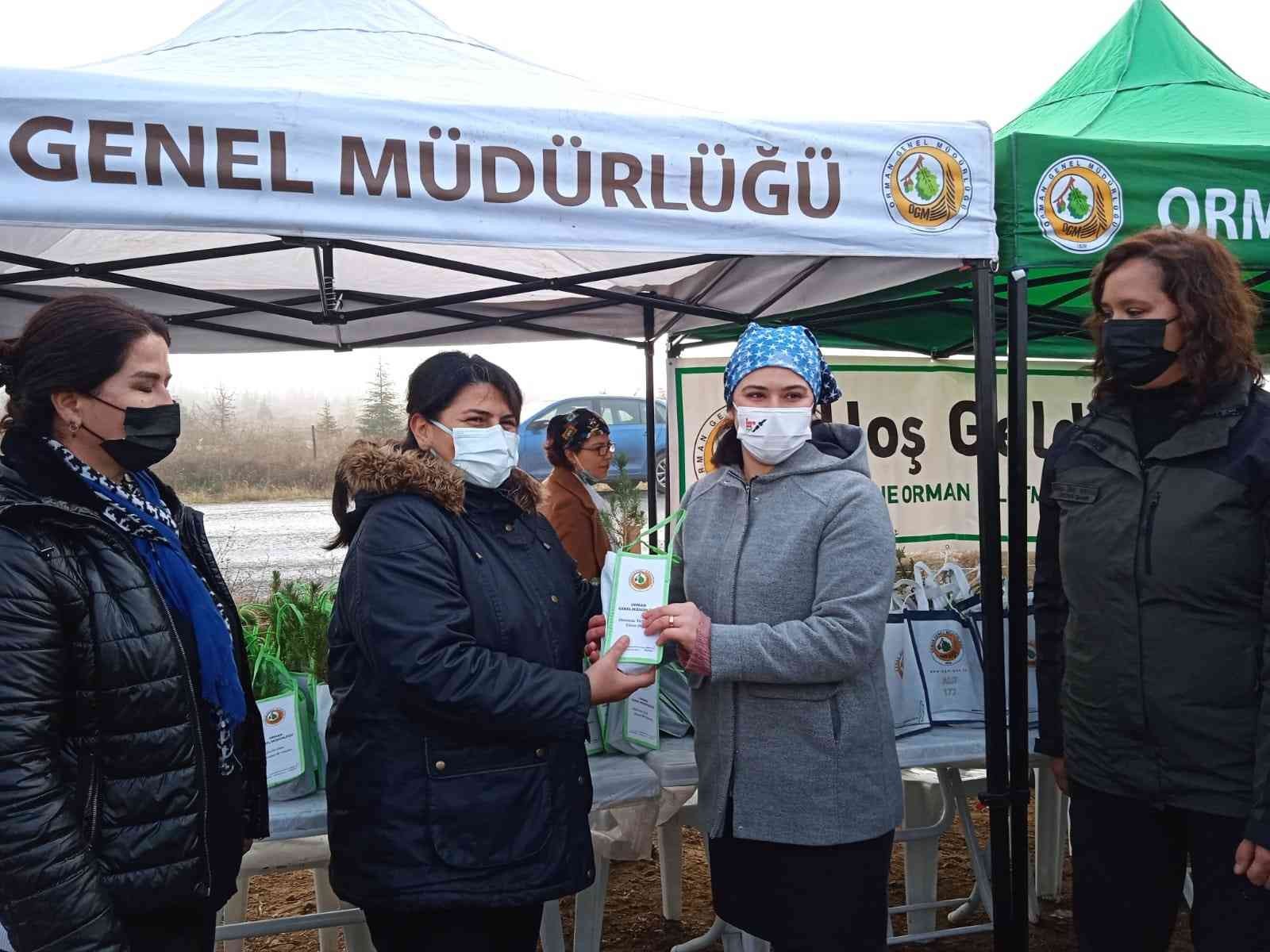 Edirne’de Tıbbi Aromatik Bitkiler Ormanı kuruluyor #edirne