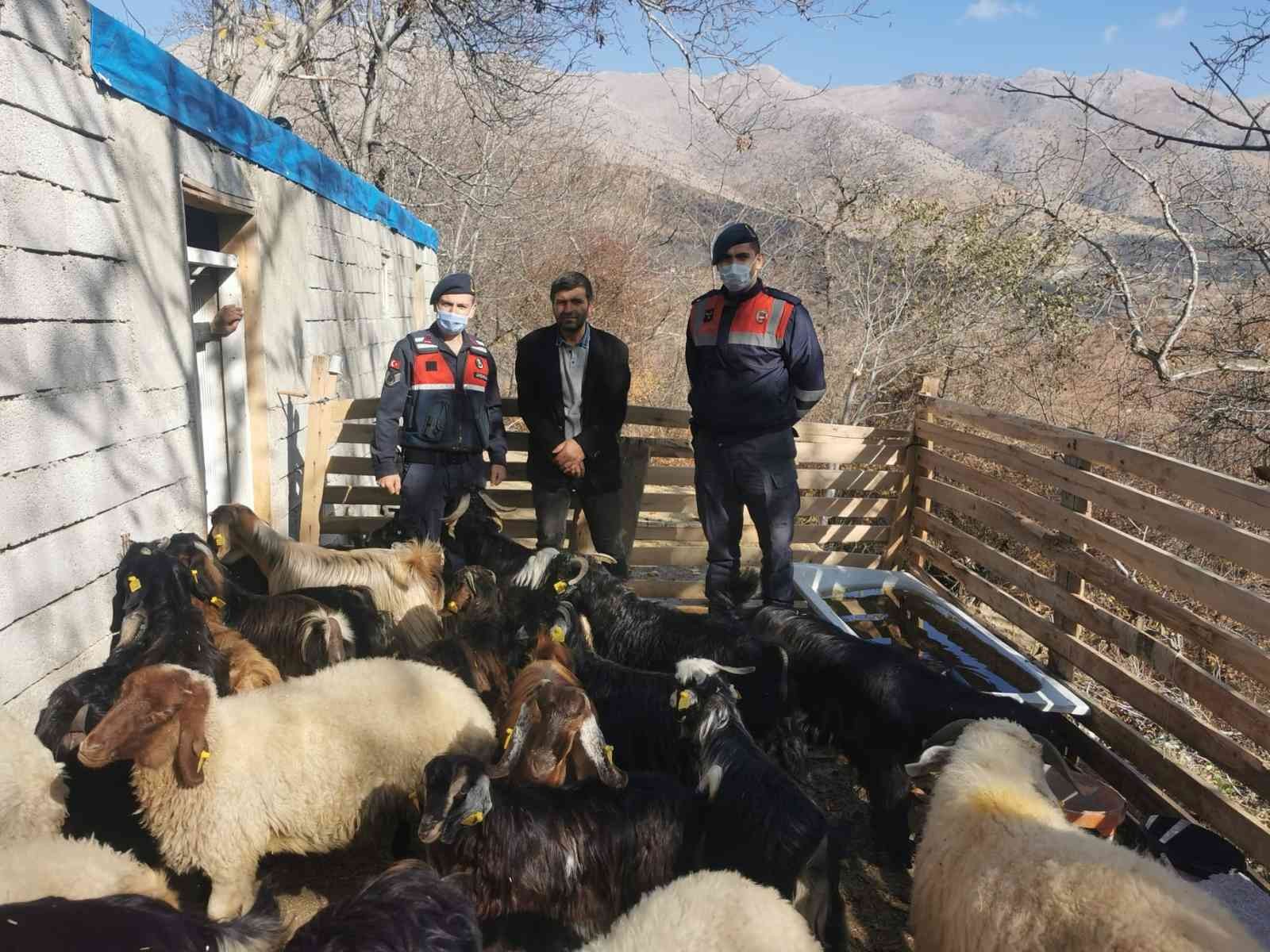 Jandarma kaybolan hayvanları drone ile bulup sahibine teslim etti #kahramanmaras
