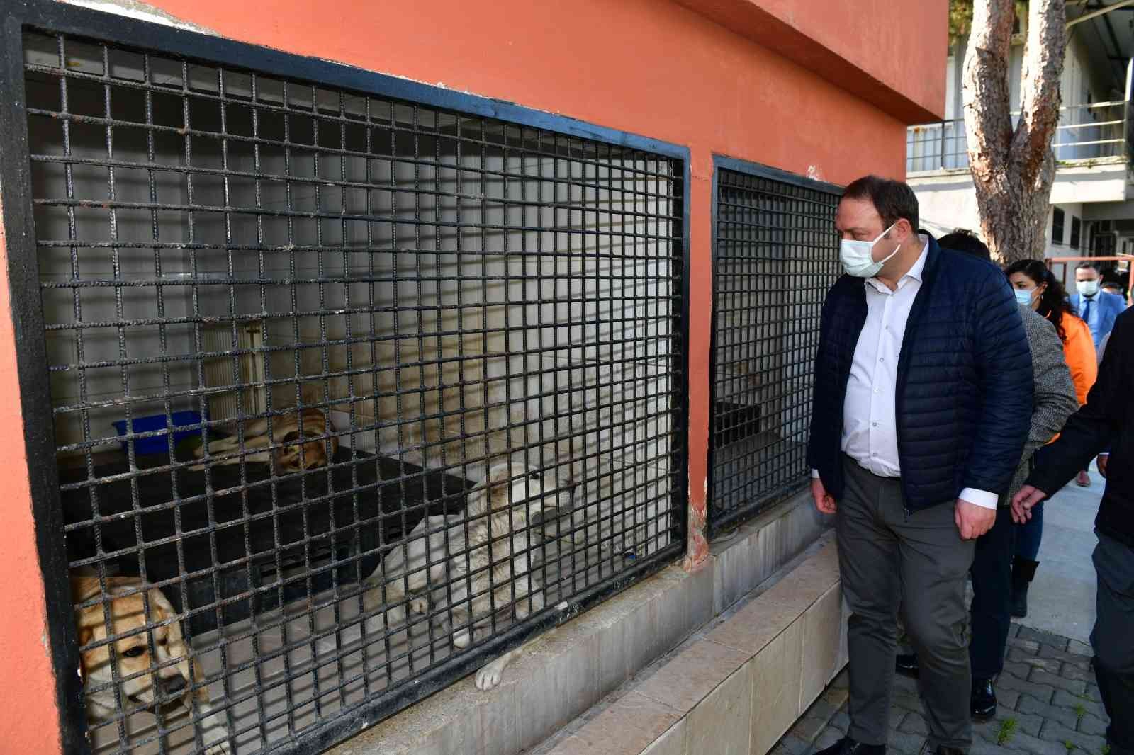 Çiğli Belediyesi, kış mevsimi öncesi sokak hayvanlarını unutmadı #izmir