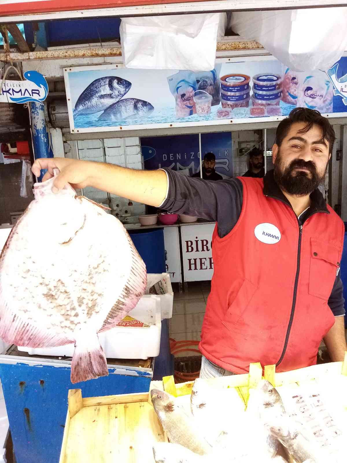 Balıkçı ağına takılan üç kiloluk kalkan balığı 600 liradan satışa çıktı #balikesir