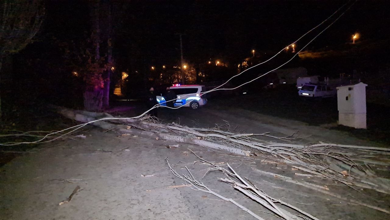 Karabük’te fırtınada ağaçlar devrildi, elektrik telleri koptu #karabuk