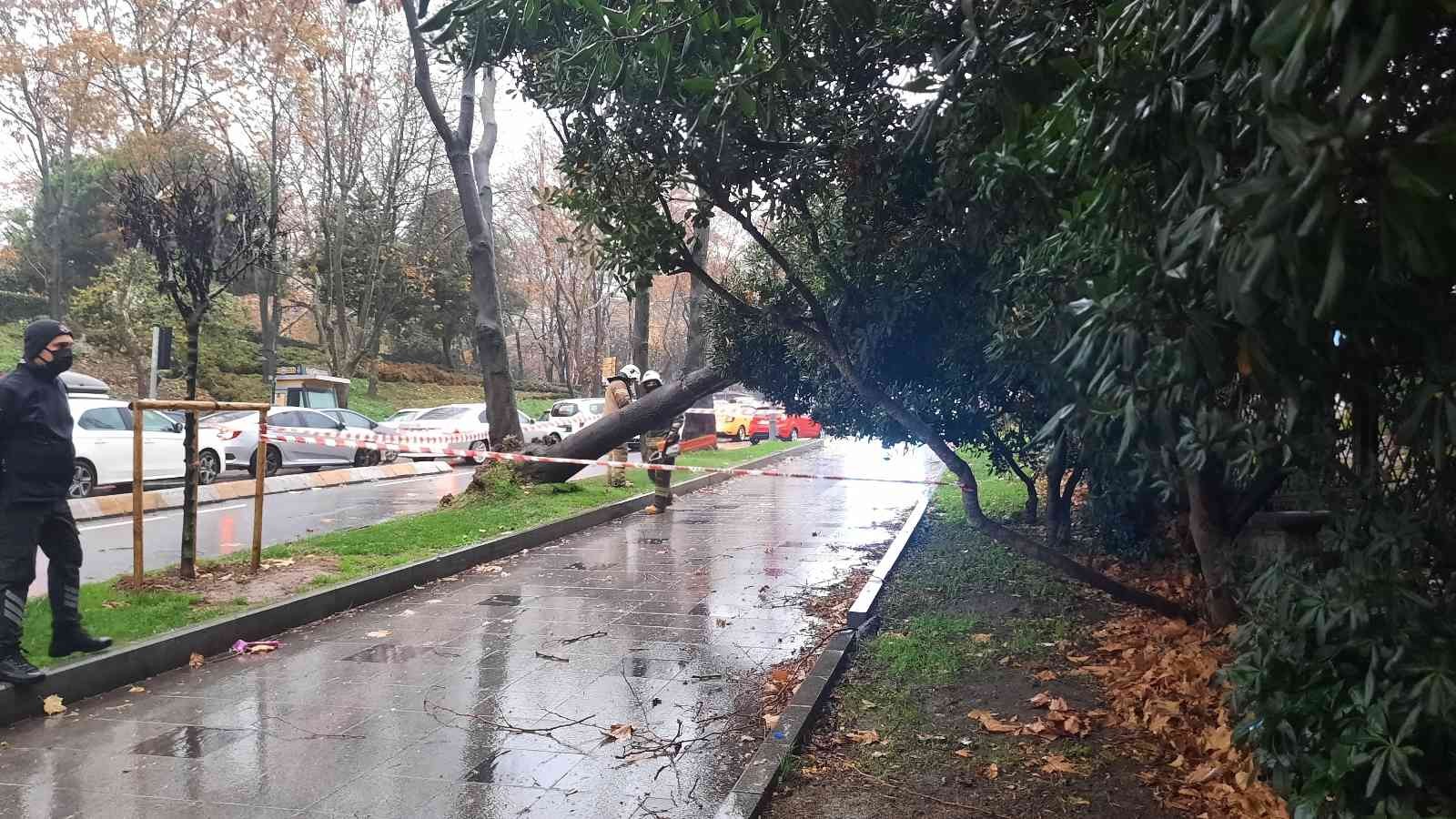 Maçka Parkı girişinde ağaç devrildi: Trafik durma noktasına geldi #istanbul