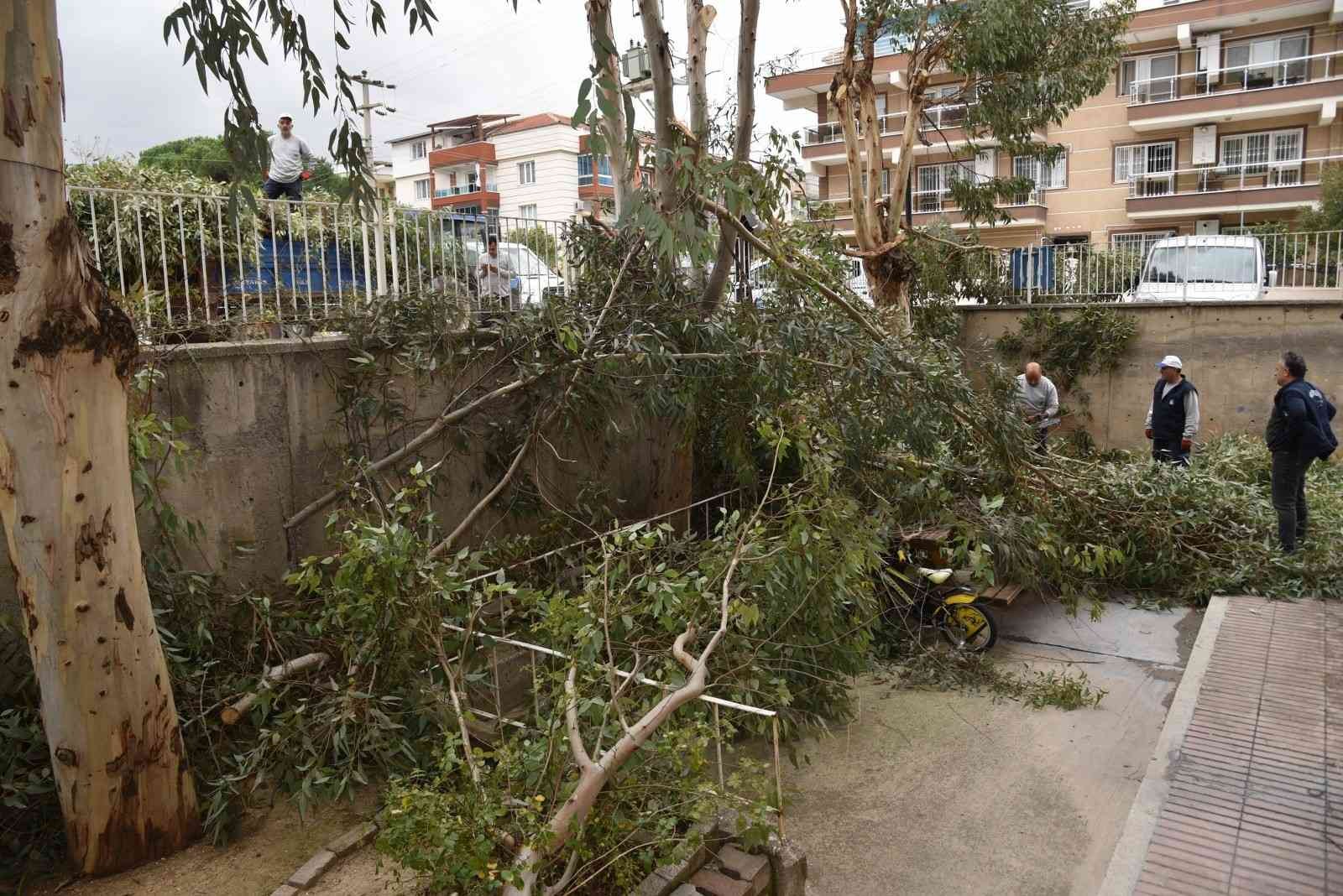 Fırtına nedeniyle devrilen ağaçlar kaldırıldı #manisa