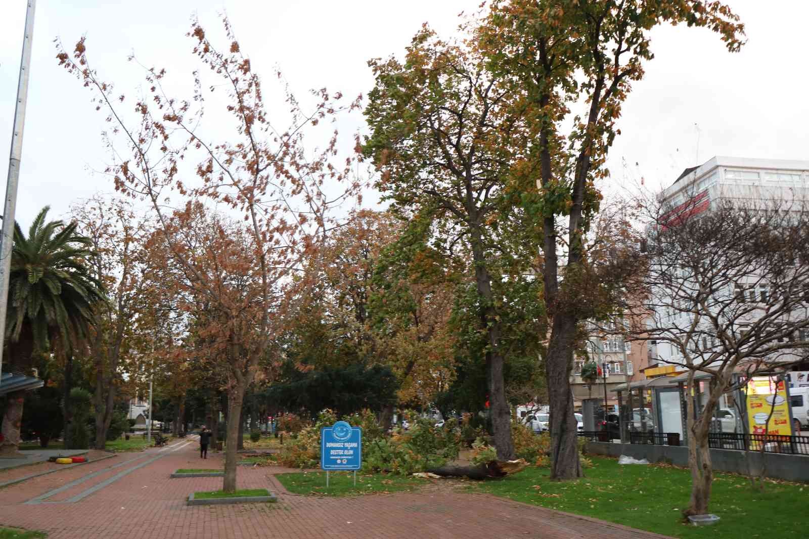 samsun da siddetli firtina catilar uctu agaclar devrildi samsun haberleri