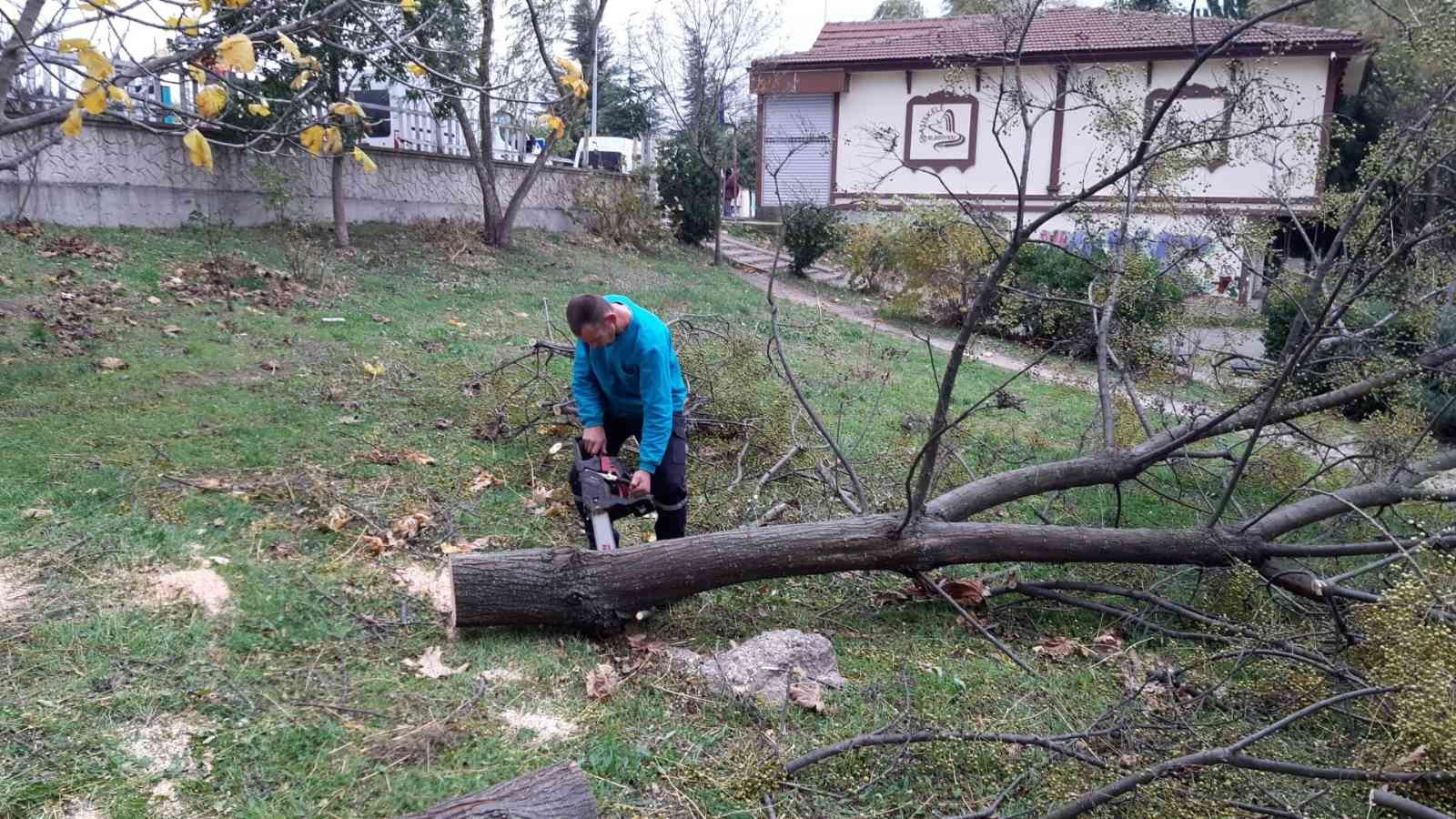 Başiskele’de fırtınadan devrilen ağaçlar kaldırıldı #kocaeli