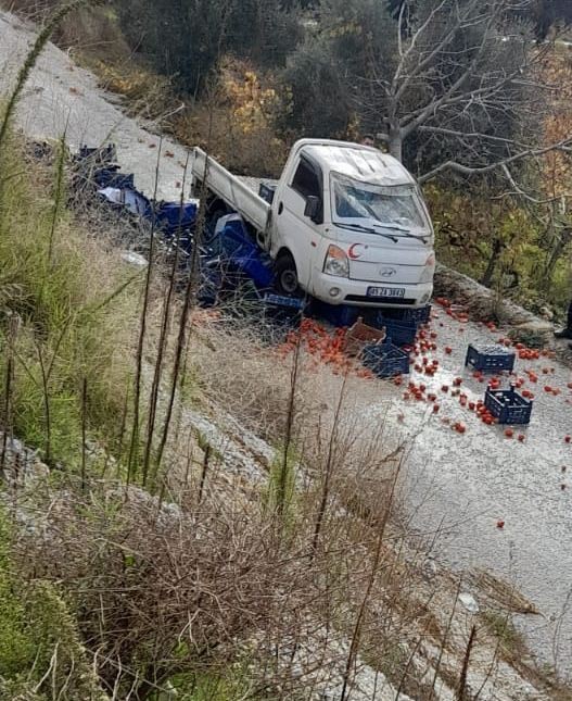 Alaşehir’de meyve yüklü kamyonet şarampole devrildi #manisa