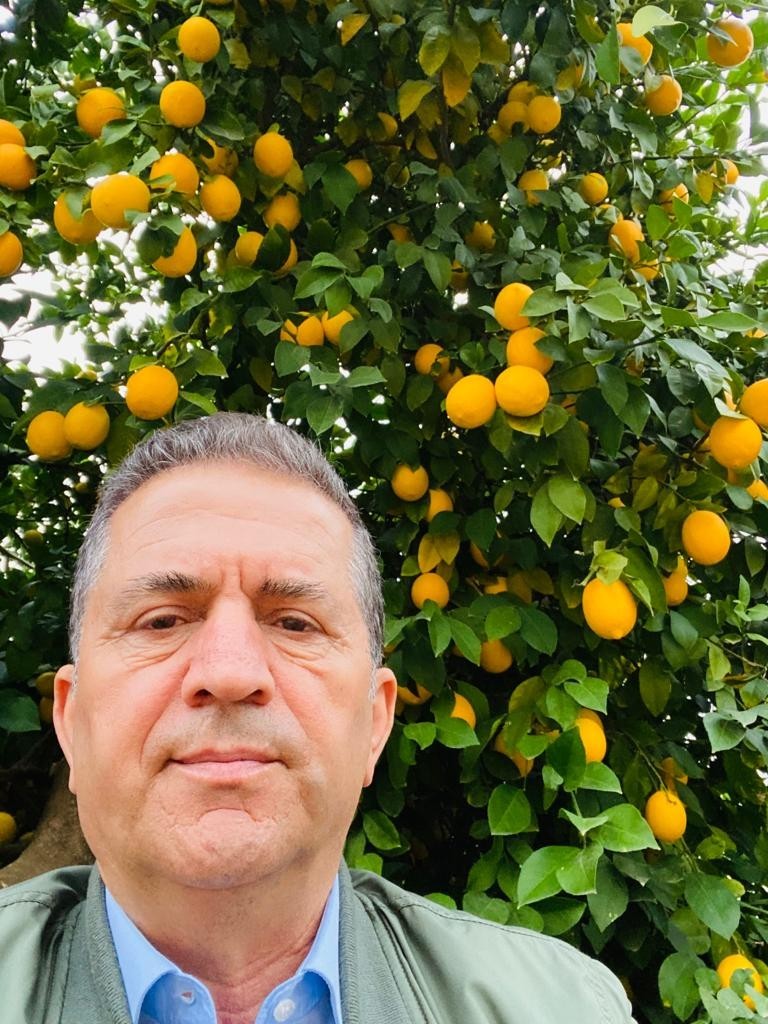 Üretici limona desteği yeterli bulmadı #adana