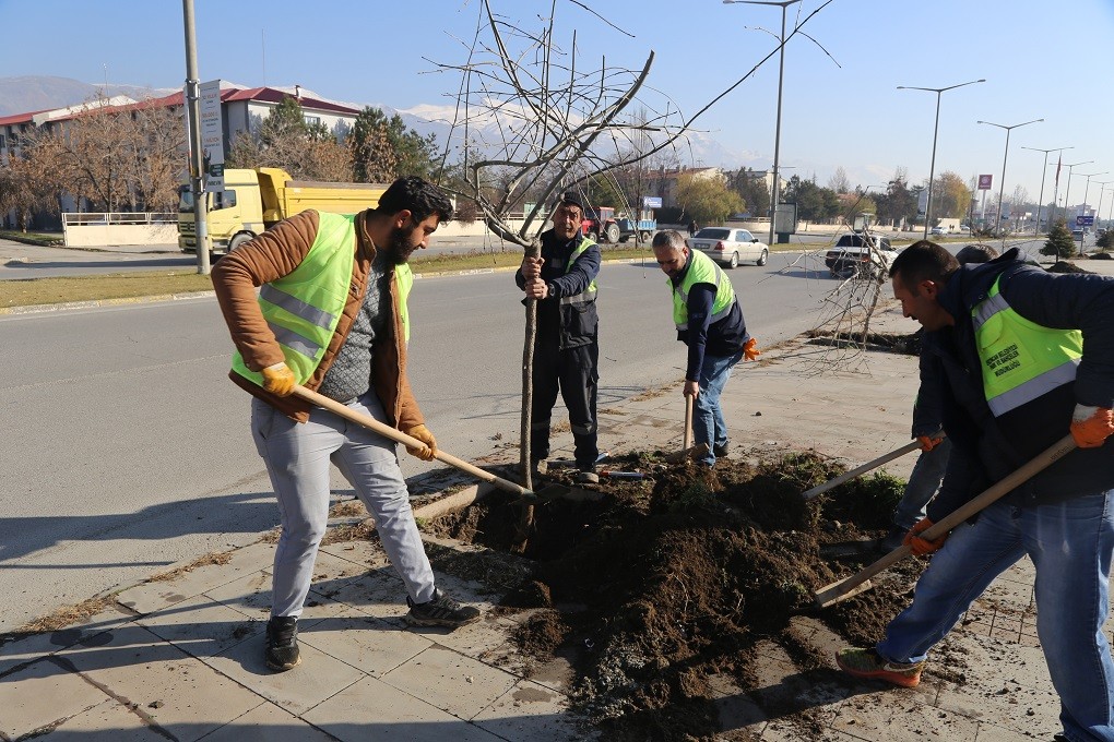 Erzincan’da ağaçlandırma çalışmaları devam ediyor #erzincan