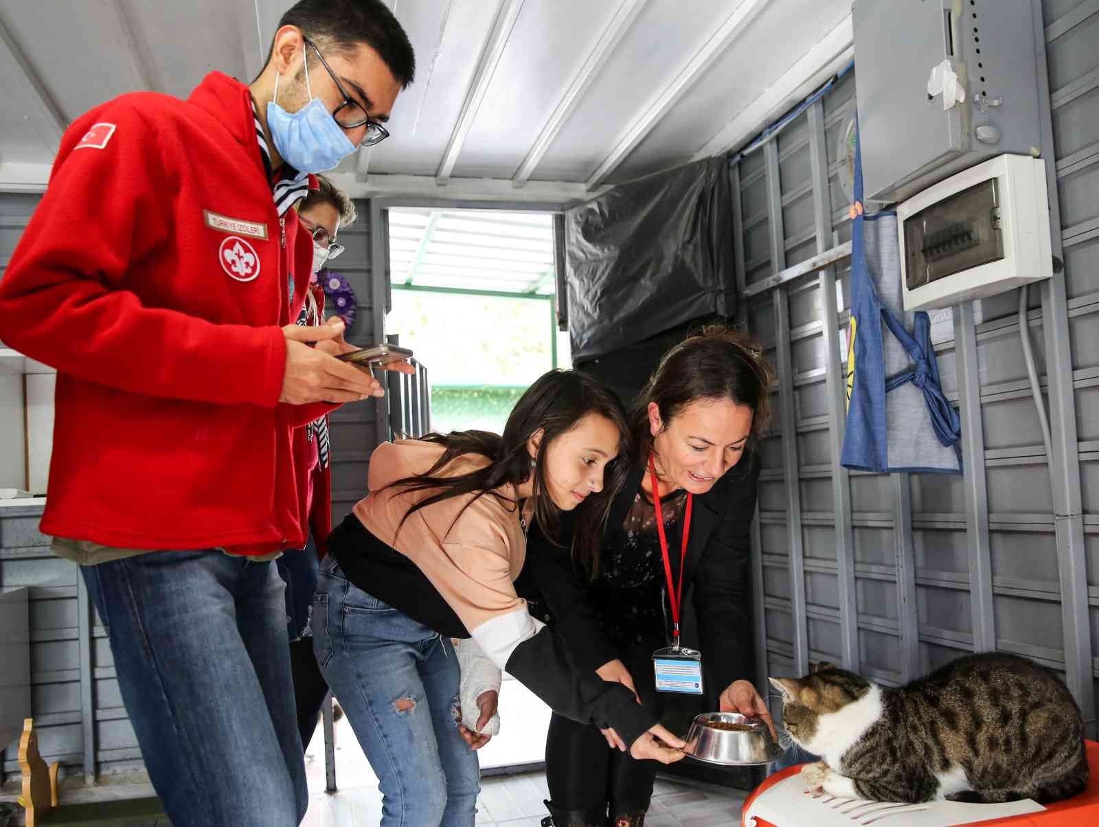 Buca’da sahiplenilen engelli kedilere ömür boyu sağlık hizmeti #izmir