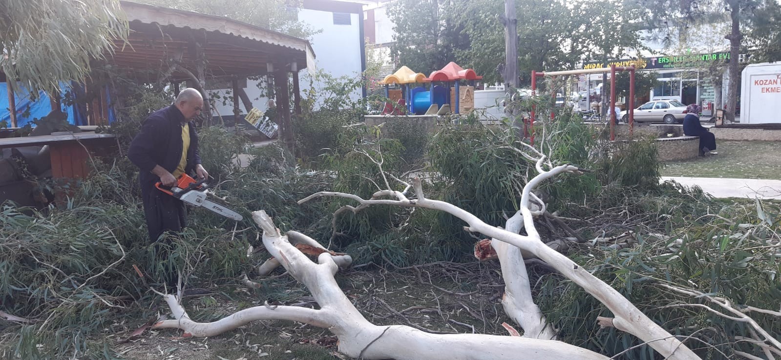 Kozan’da şiddetli fırtına ağaçları devirdi #adana