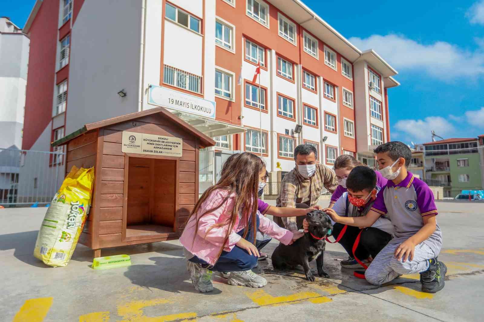 Her okula bir sokak köpeği projesi 25 okula ulaştı #denizli