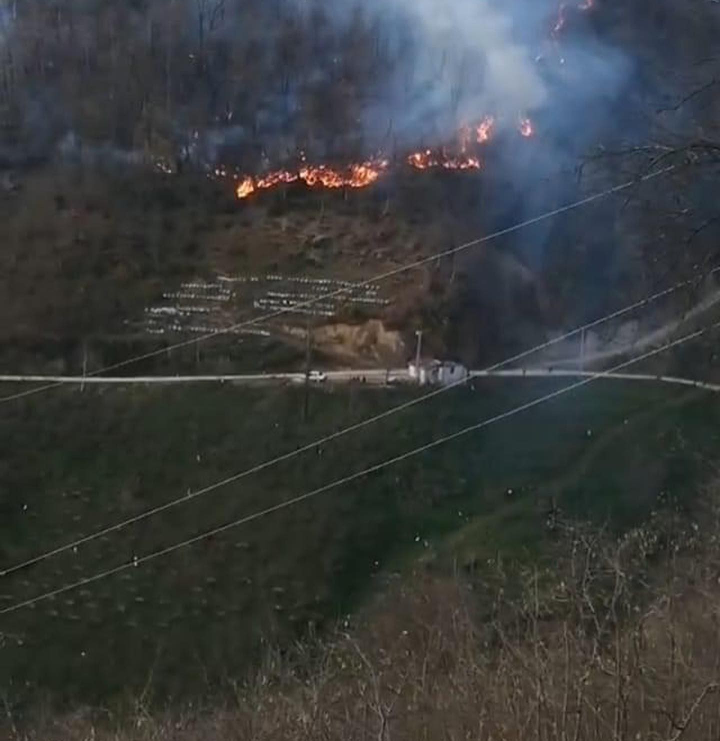 Bahçesinde ateş yakarken ormanlık alanda yangına neden oldu #ordu