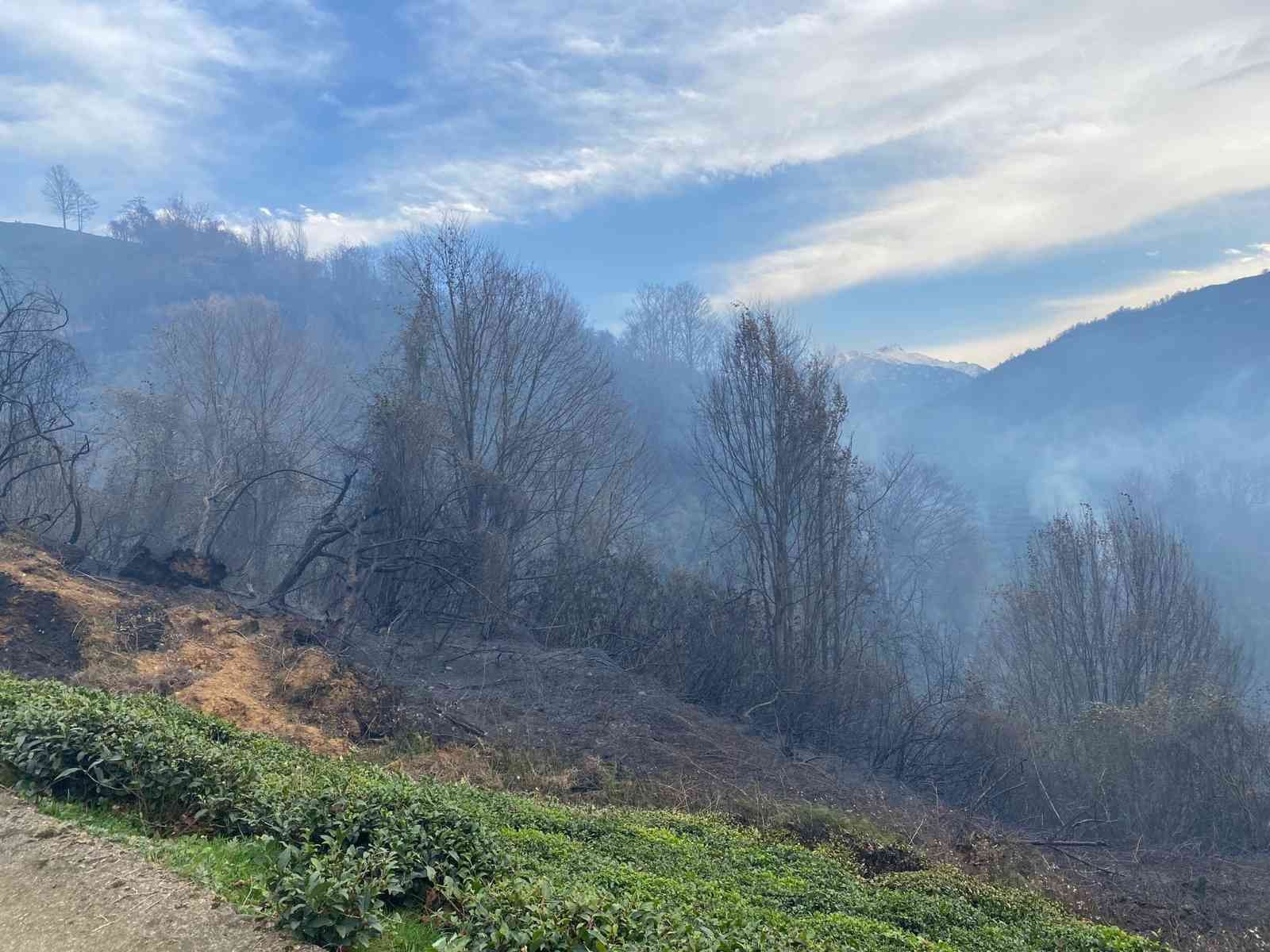 Rize’nin Fındıklı ilçesinde yangın