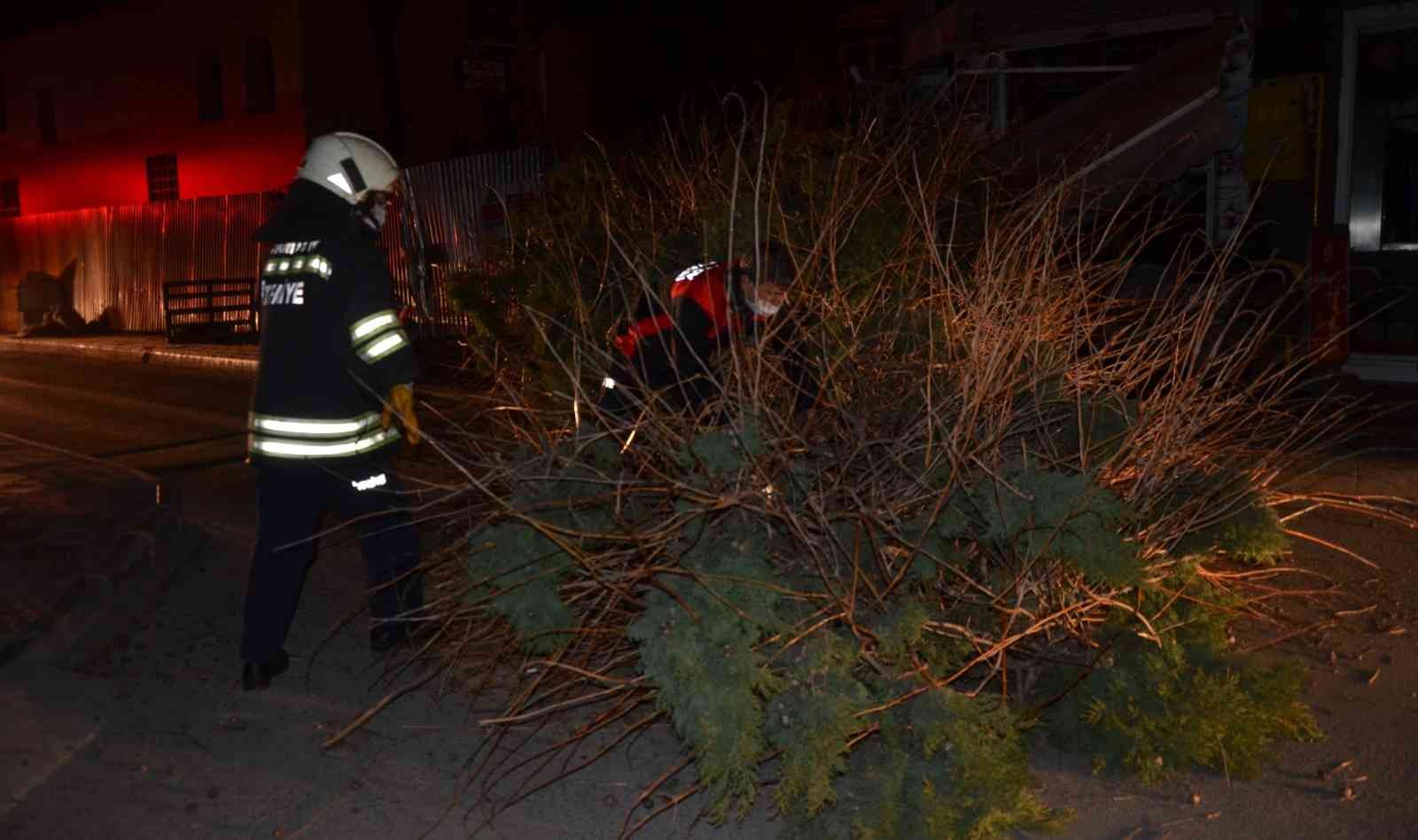 Devrilen ağacın altında kalan 1 kişi yaralandı #samsun