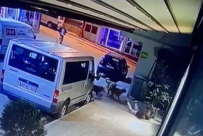 Kız çocuğuna sokak köpekleri saldırdı, o anlar güvenlik kameralarına yansıdı