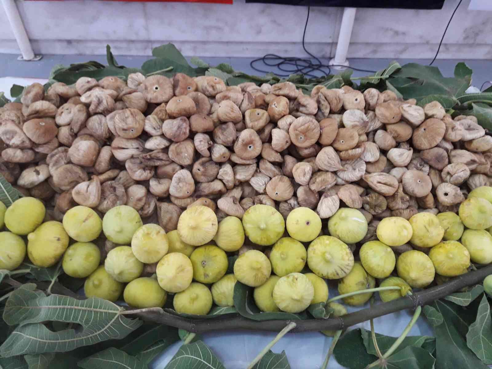 Söke’de aşırı sıcaktan etkilenen 34 incir üreticisine ödeme yapılacak #aydin