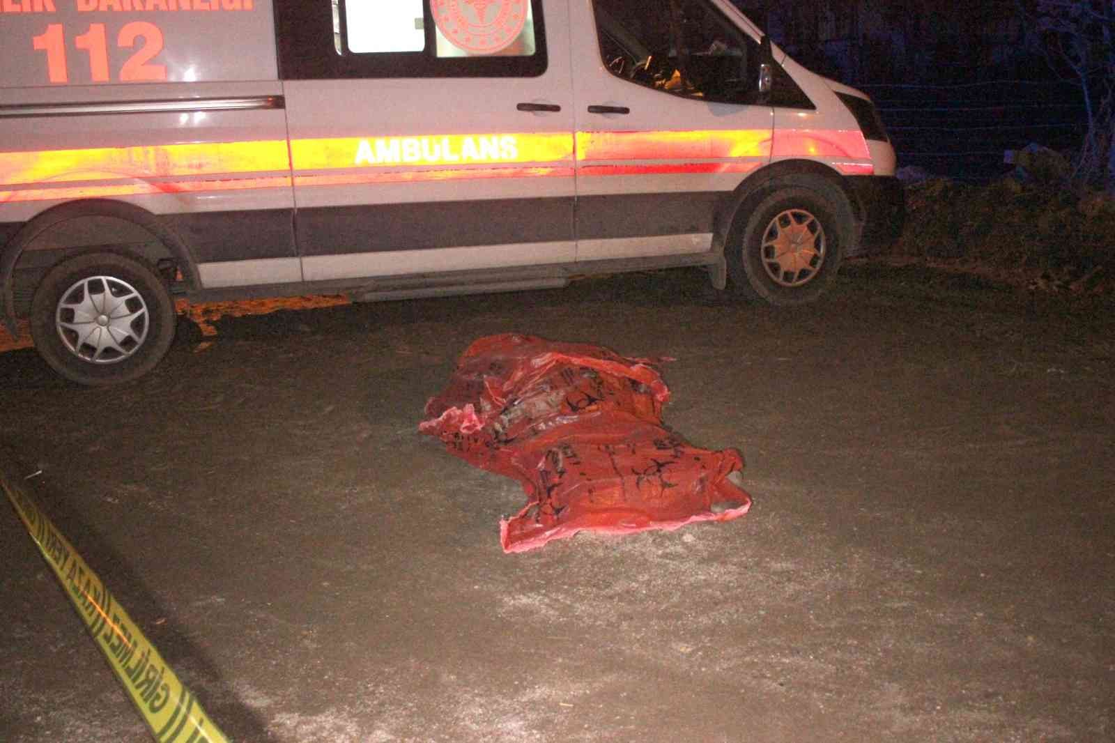 Ödemiş’te kamyonetin çarptığı şahıs hayatını kaybetti #izmir