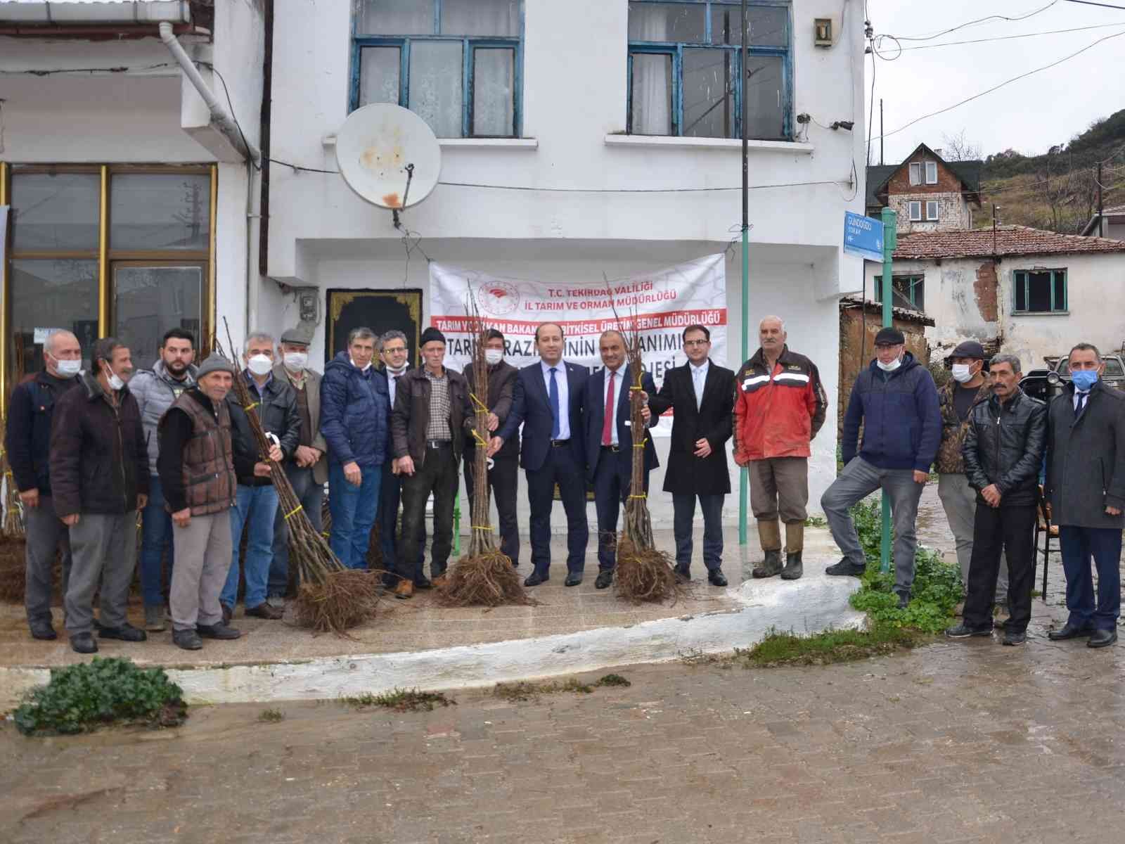 Tekirdağ’da 700 kestane fidanı dağıtıldı