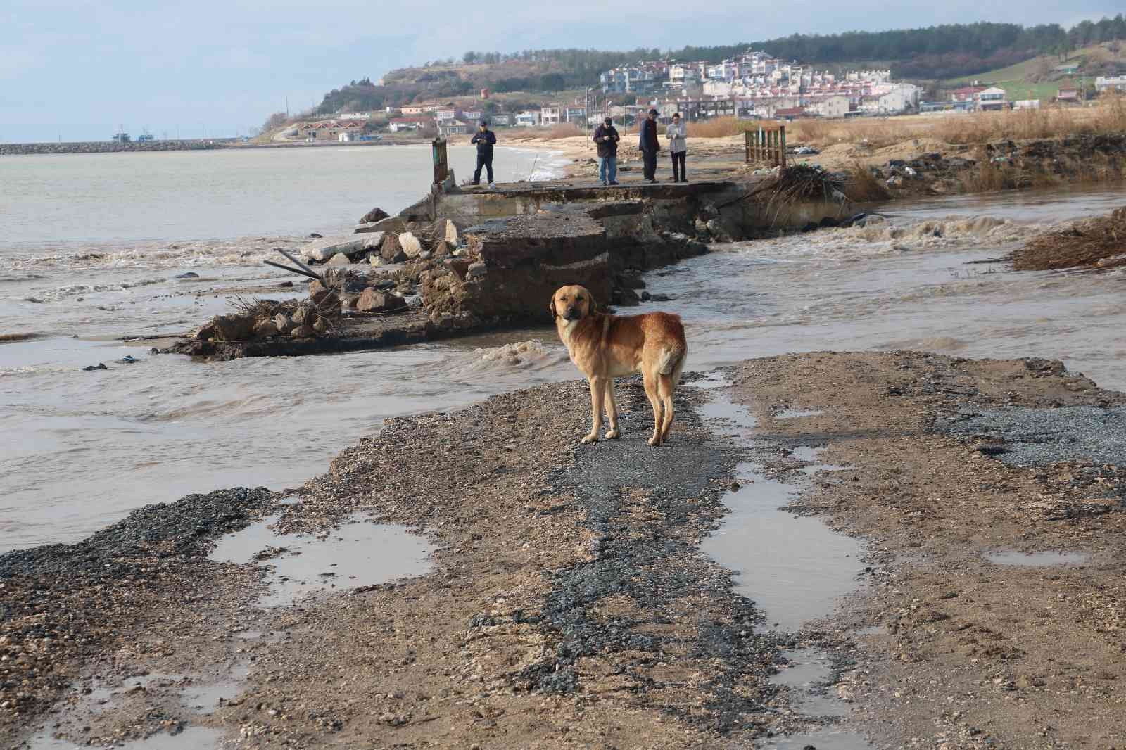 Edirne felaketi yaşıyor, sel sularına dayanamayan köprü yıkıldı #edirne
