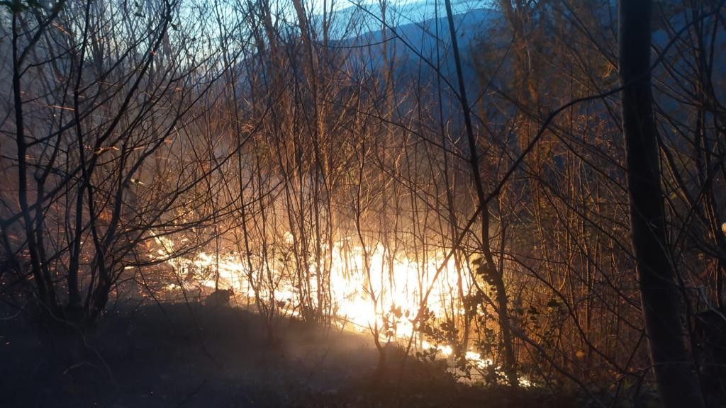 Karadeniz’de orman ve bahçe yangınlarına dikkat #ordu