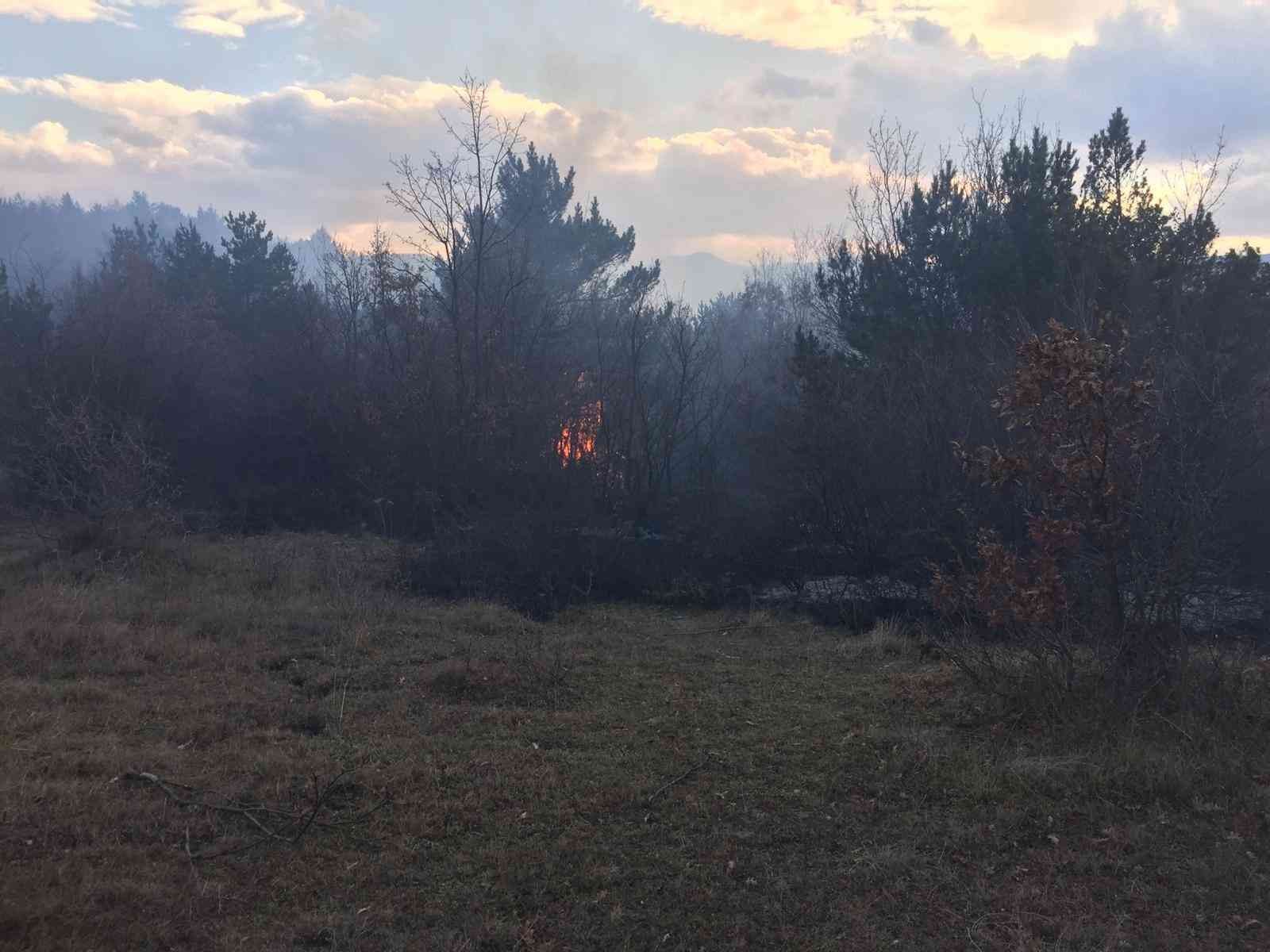 Tokat’ta orman yangını, bölgeye itfaiye ekipleri sevk edildi #tokat