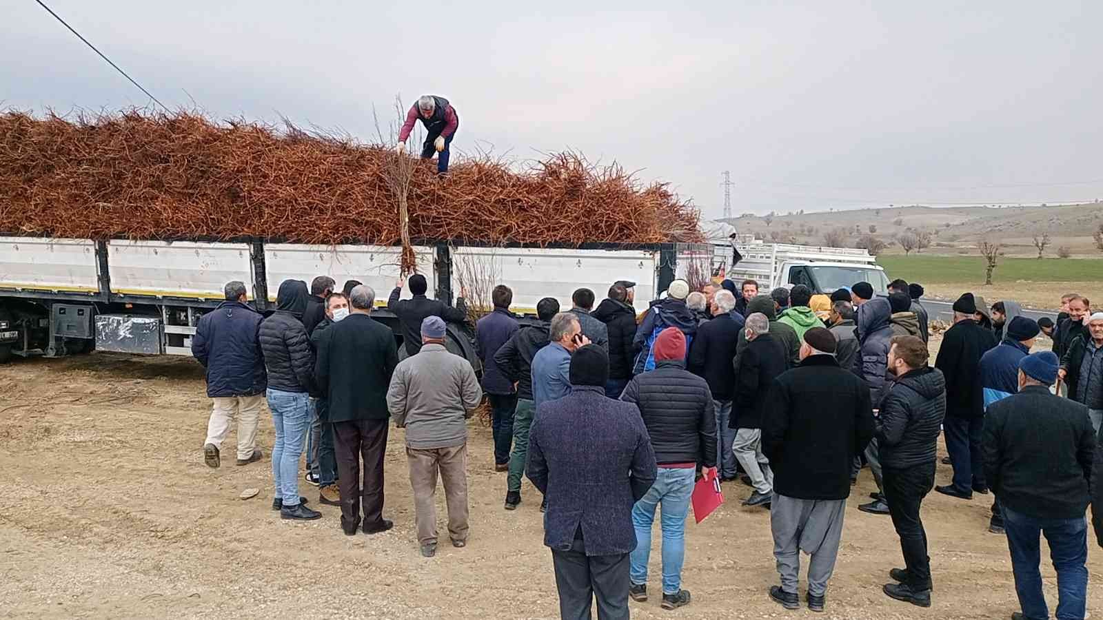 Dicle’de 111 çiftçiye 33 bin 880 adet badem, ceviz ve fıstık fidanı dağıtıldı #diyarbakir