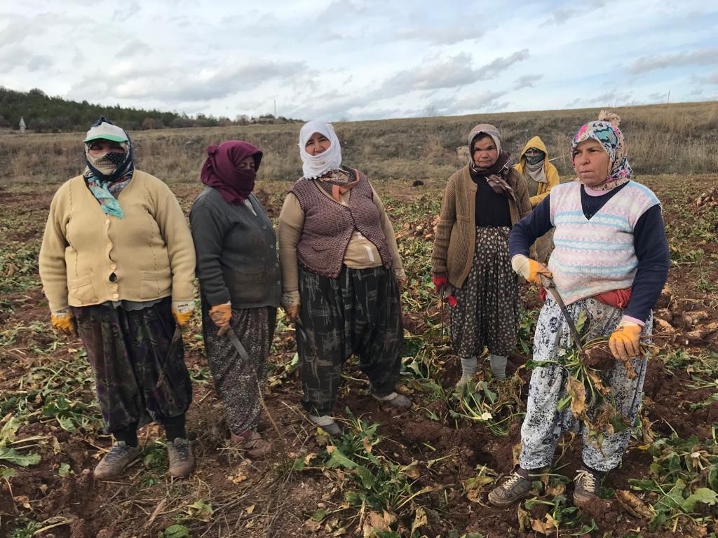 ÖZEL Kadın tarım işçilerinin zorlu mesaisi