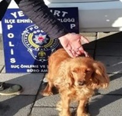 Kaybolan köpeği için polisten yardım istedi #malatya