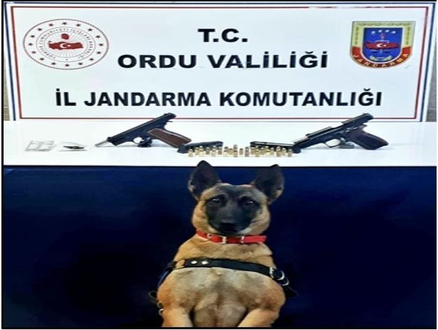 Jandarma ekiplerinden uyuşturucu operasyonu: 2 gözaltı #ordu