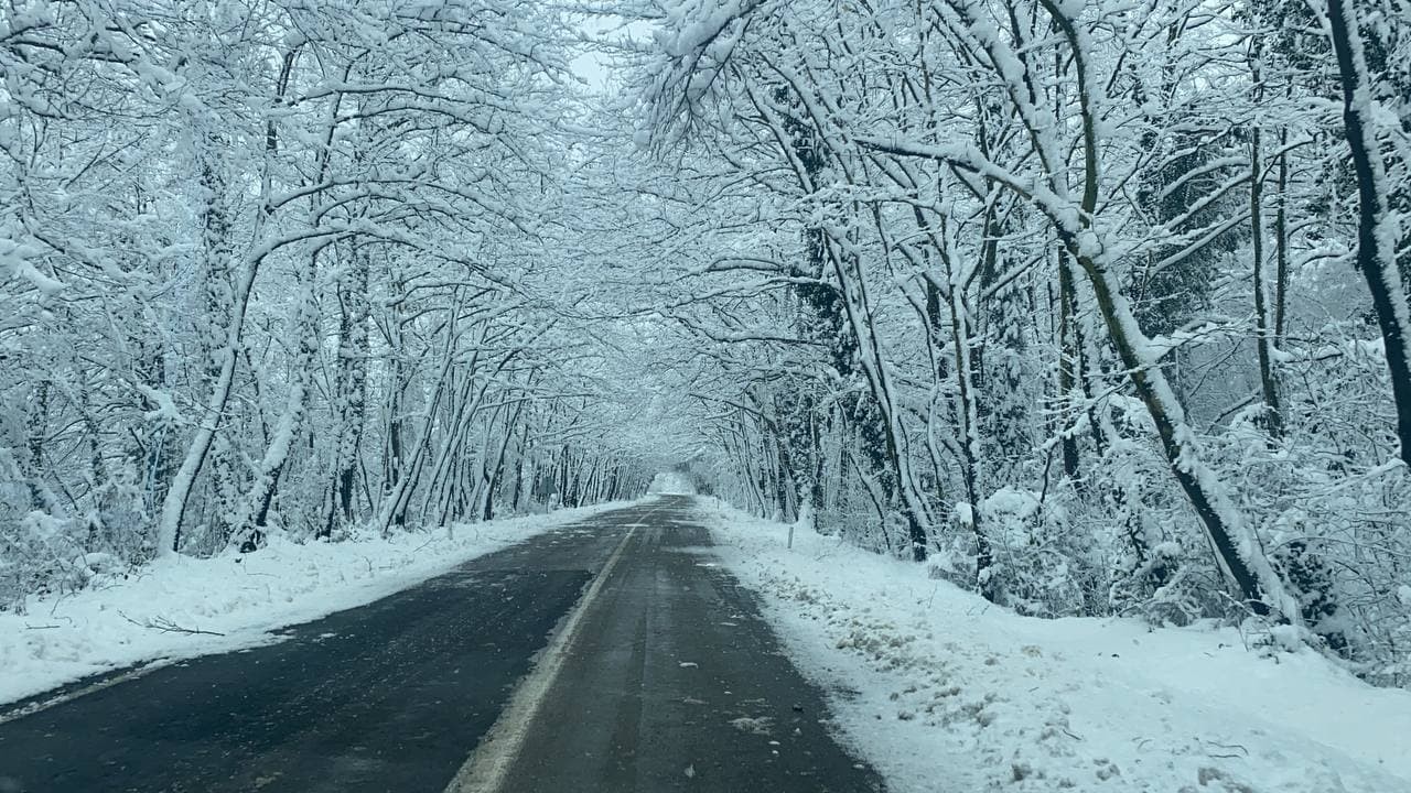Ağaç tüneller kar güzelliği ile mest ediyor #bartin