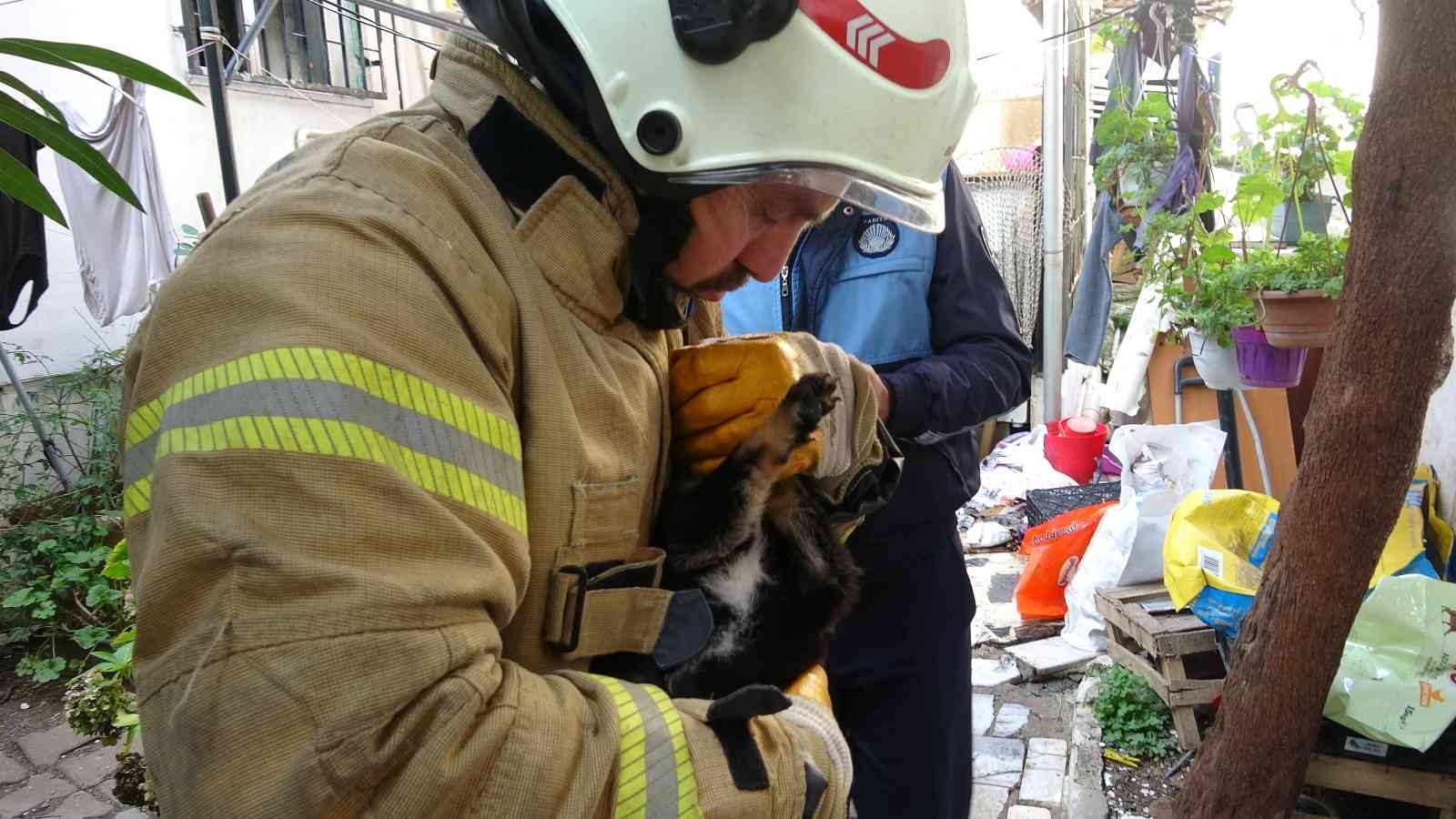 Kartal’da yanan evdeki köpek ve kediler son anda kurtarıldı #istanbul