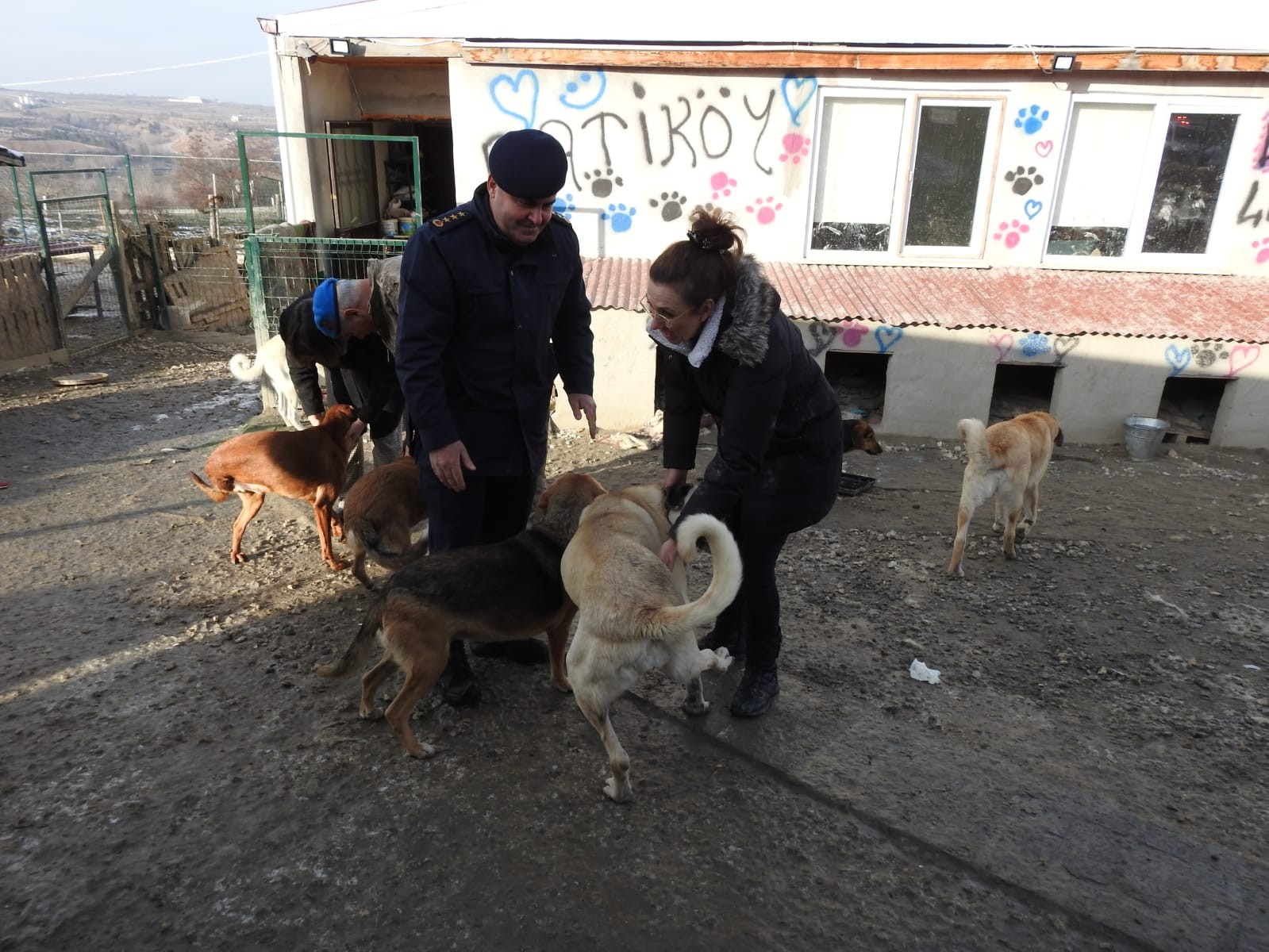 Jandarma ekipleri soğuk kış gününde sokak hayvanlarını besledi #kastamonu