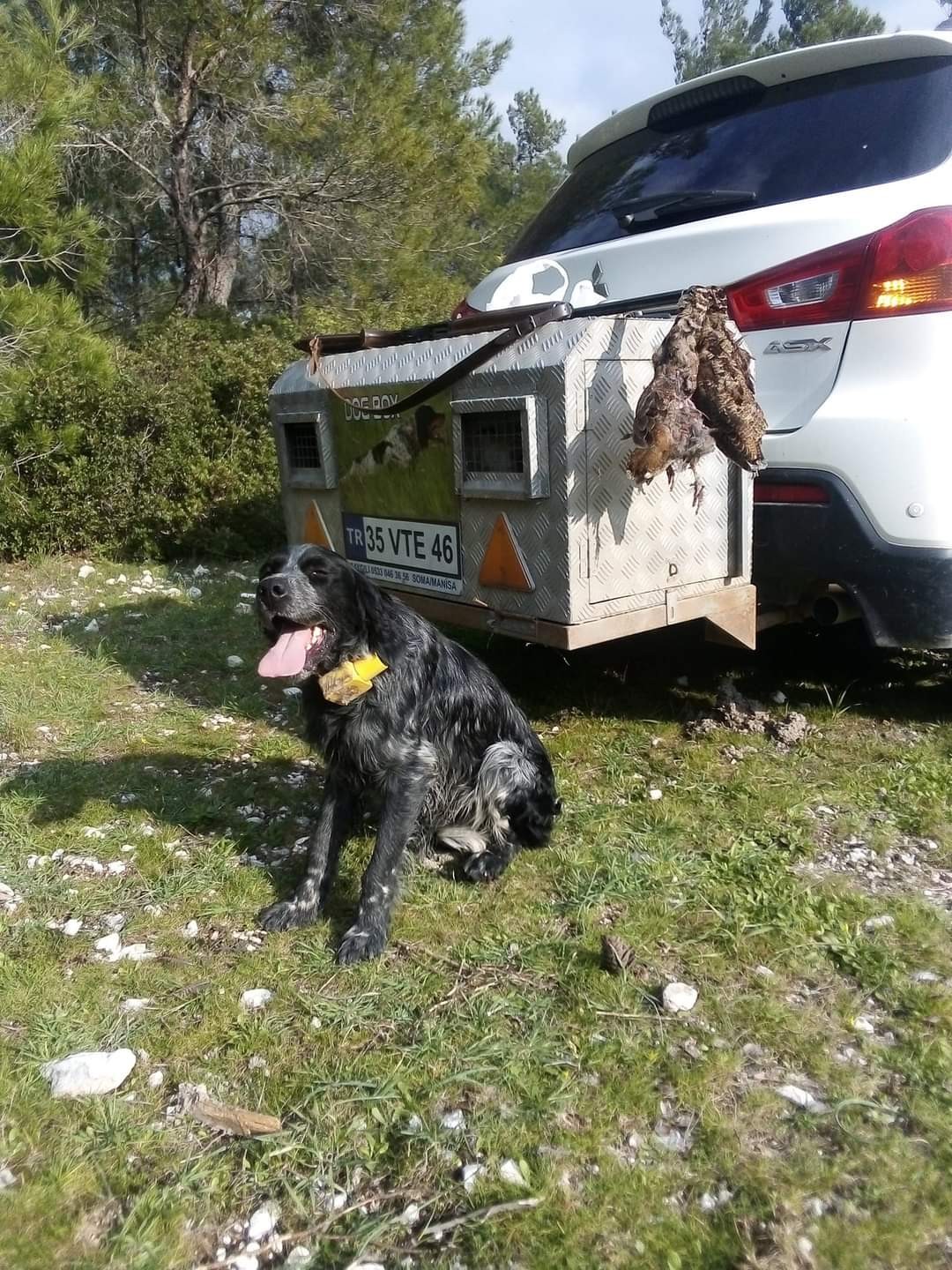 Kaybolan av köpeği iki günlük arama sonunda bulundu #izmir