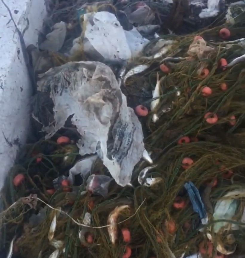 Balıkçıların ağlarına takılanlar pes dedirtti #zonguldak