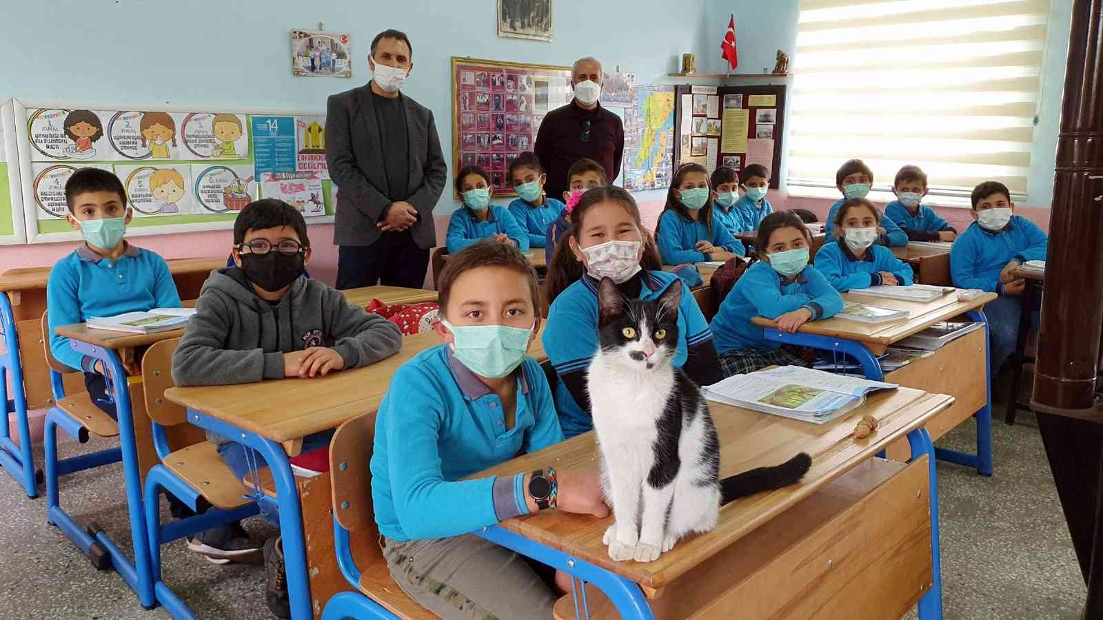 Soğukta okula sığınan kediye öğrenciler sahip çıktı #aydin