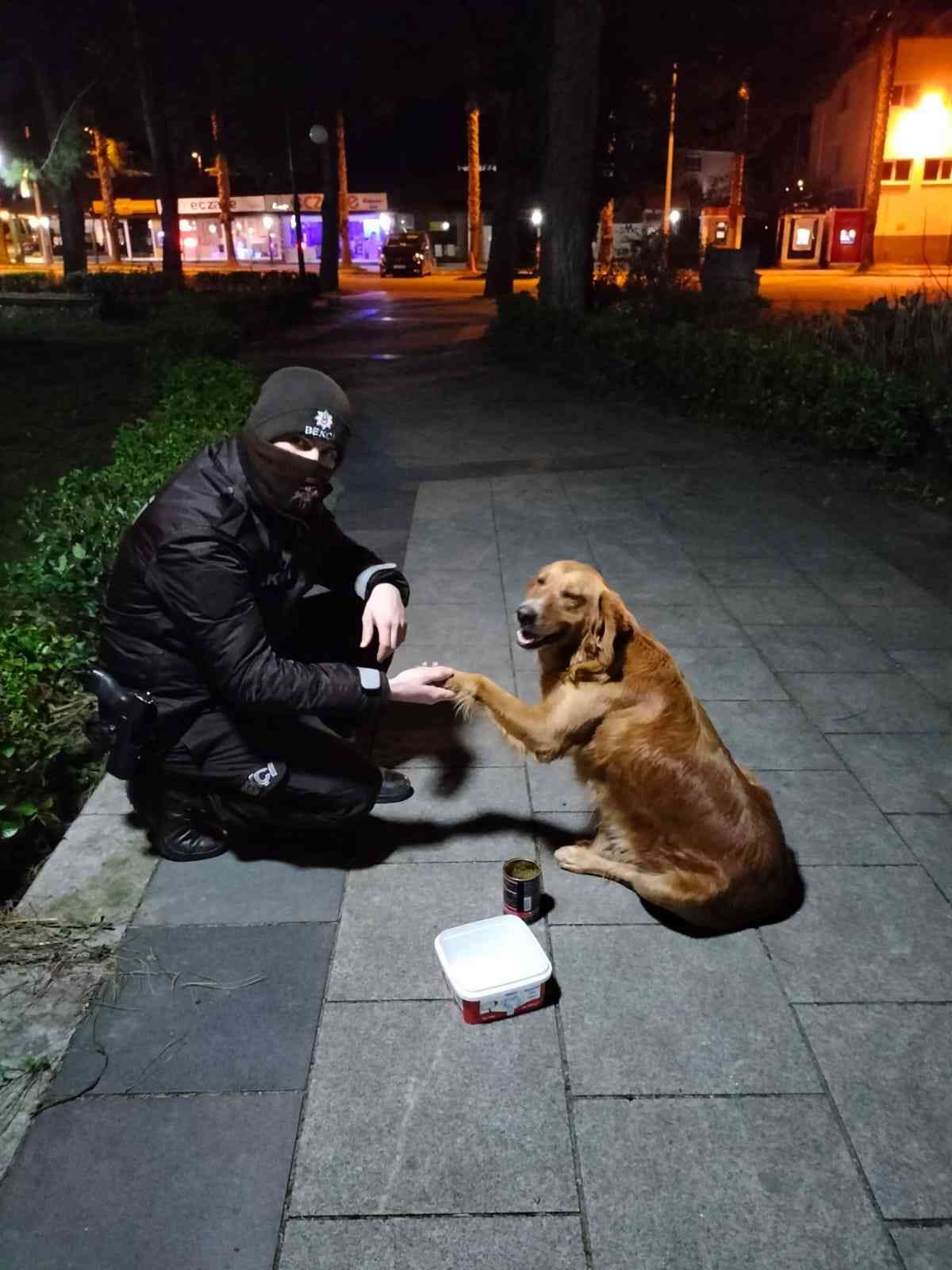 Sokak hayvanlarına bekçi şefkati