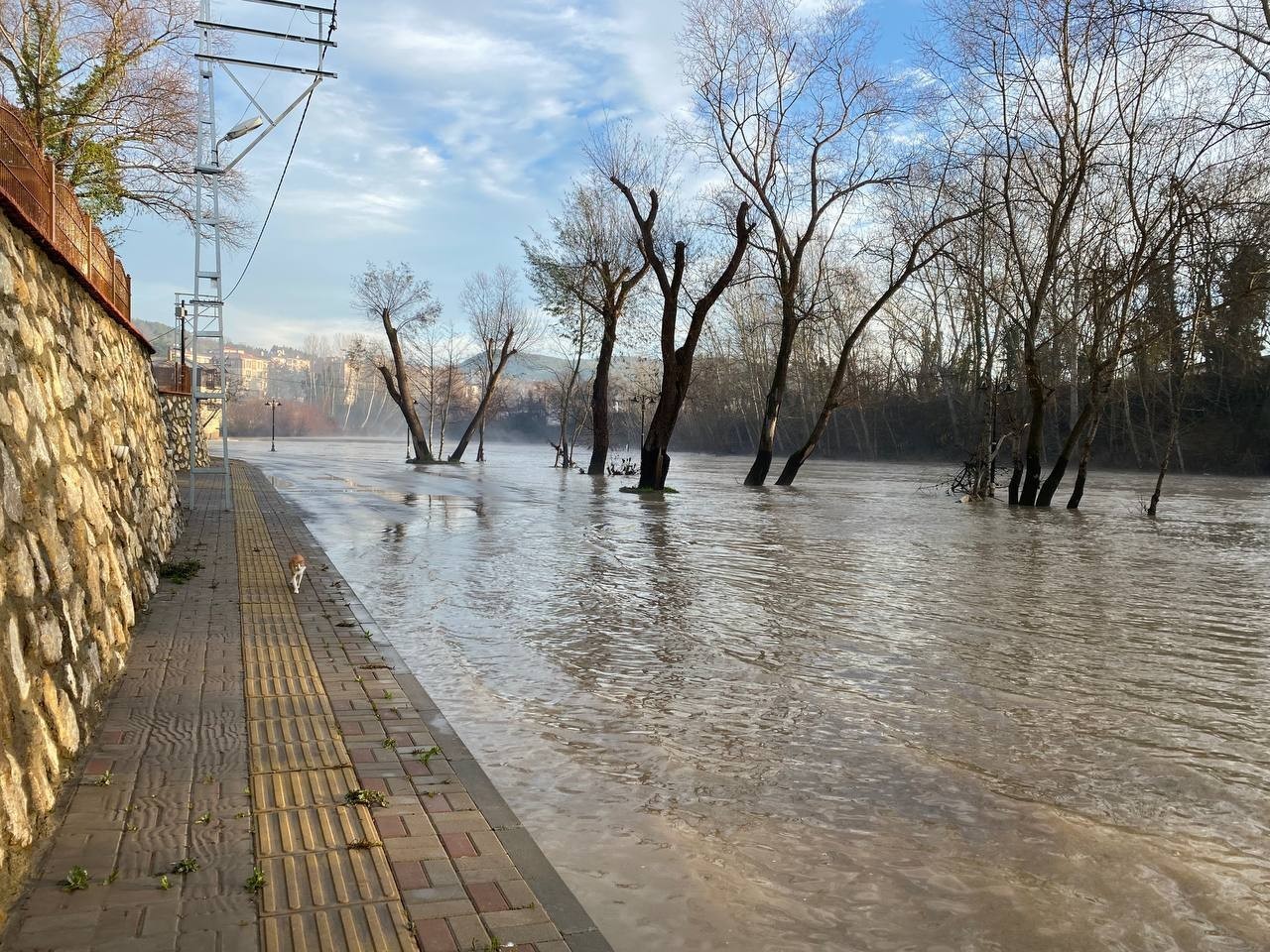 Bartın Irmağı’ndaki su seviyesi yükseldi, yürüyüş yolları ve iskeleler su altında kaldı #bartin