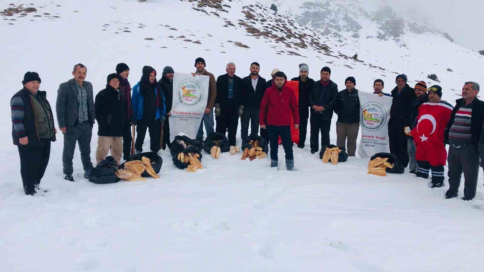Berit Dağı’nda yaban hayvanlarına yem #kahramanmaras