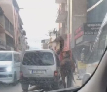 Atı iple aracın arkasına bağlayıp yürüttü, şikayet üzerine gözaltına alındı #izmir