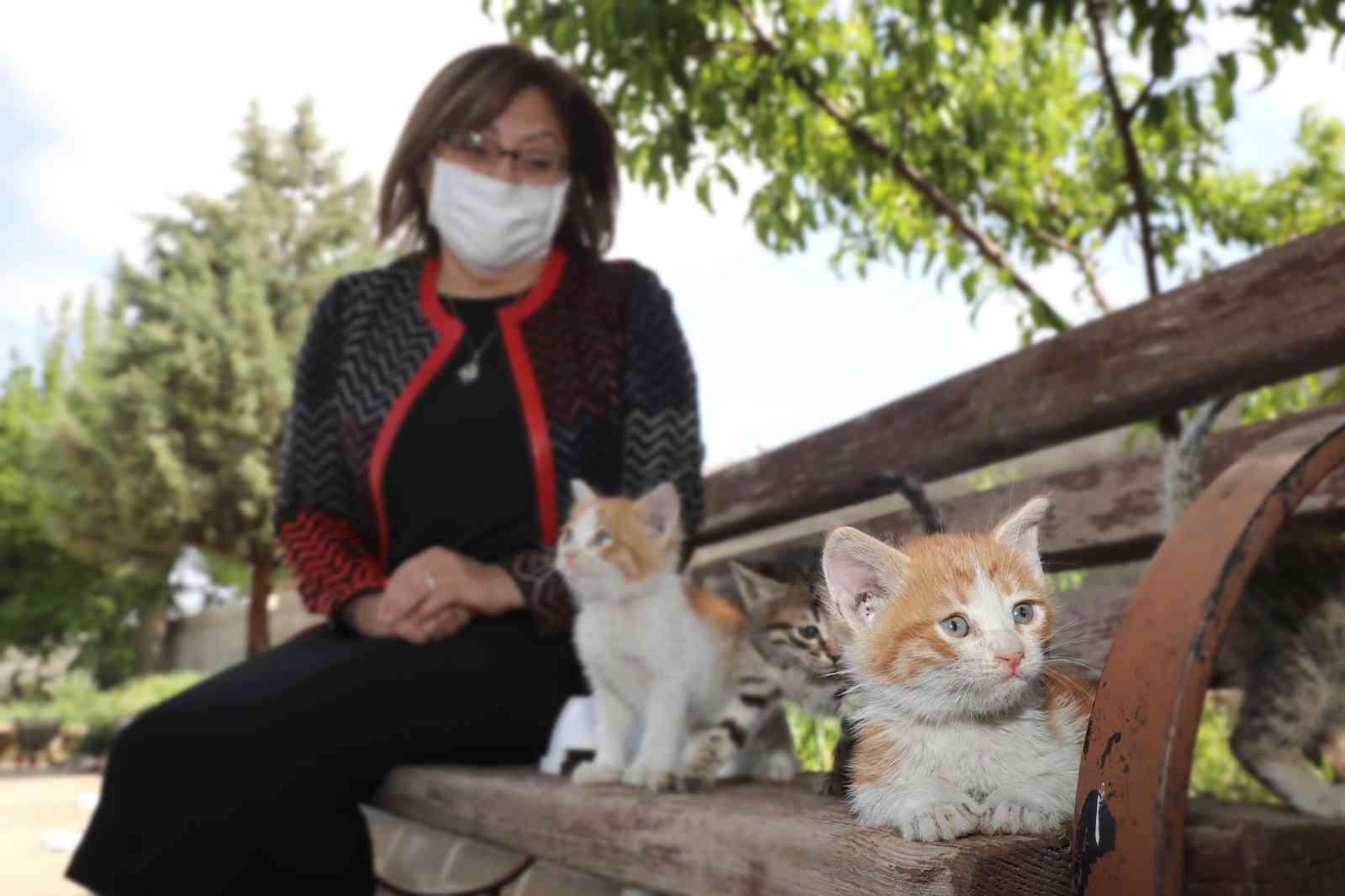 Gaziantep’te 2021’de yaklaşık 7 bin sokak hayvanı tedavi edildi #gaziantep