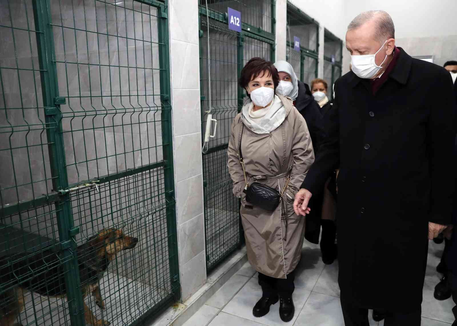 Cumhurbaşkanı Erdoğan, Beykoz hayvan barınağını ziyaret etti