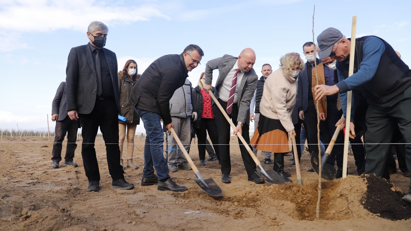 Cennet elması belediyenin yeni gelir kapısı olacak