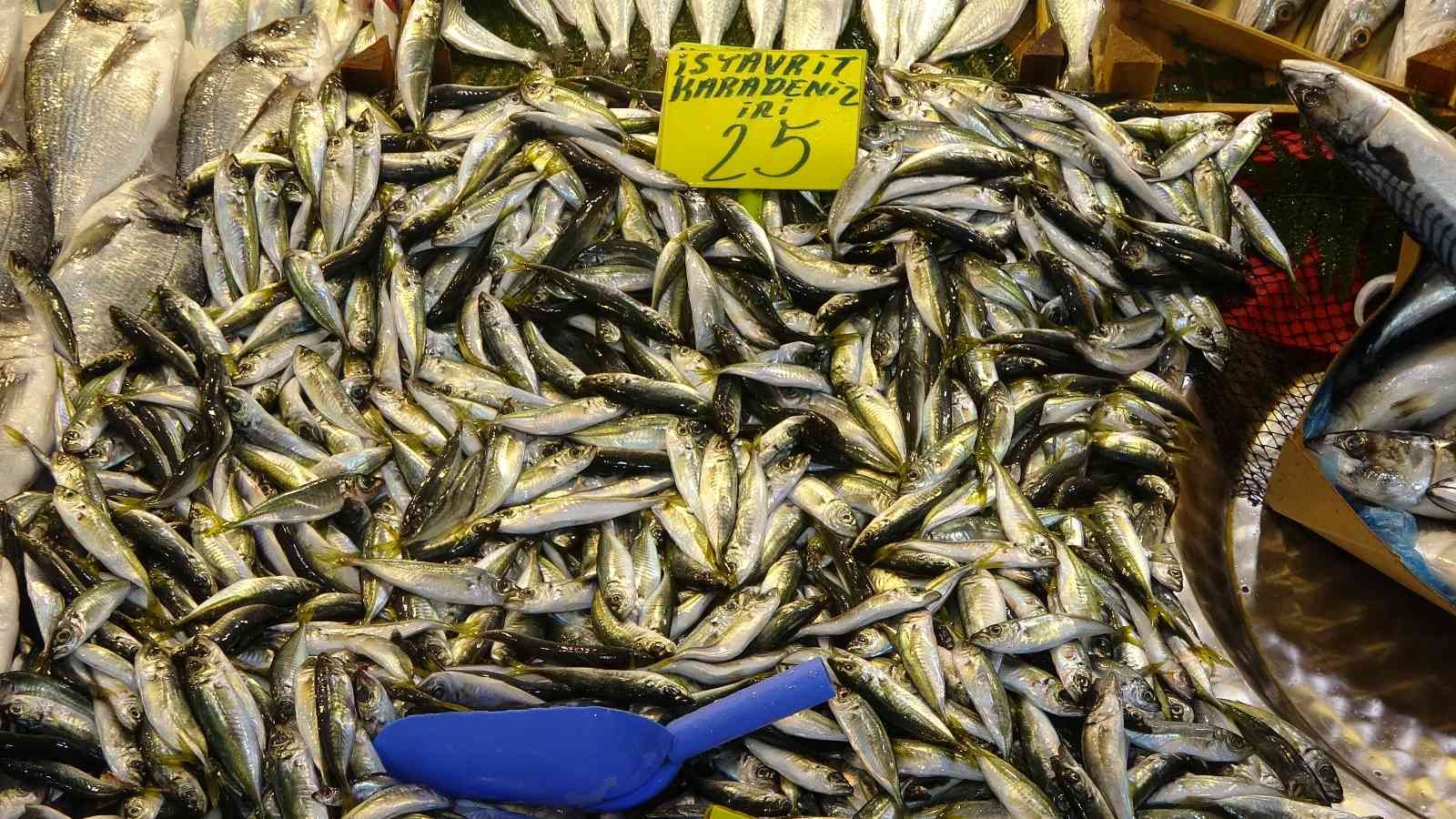 Mevsimin en lezzetli balığı istavrit oldu #kocaeli