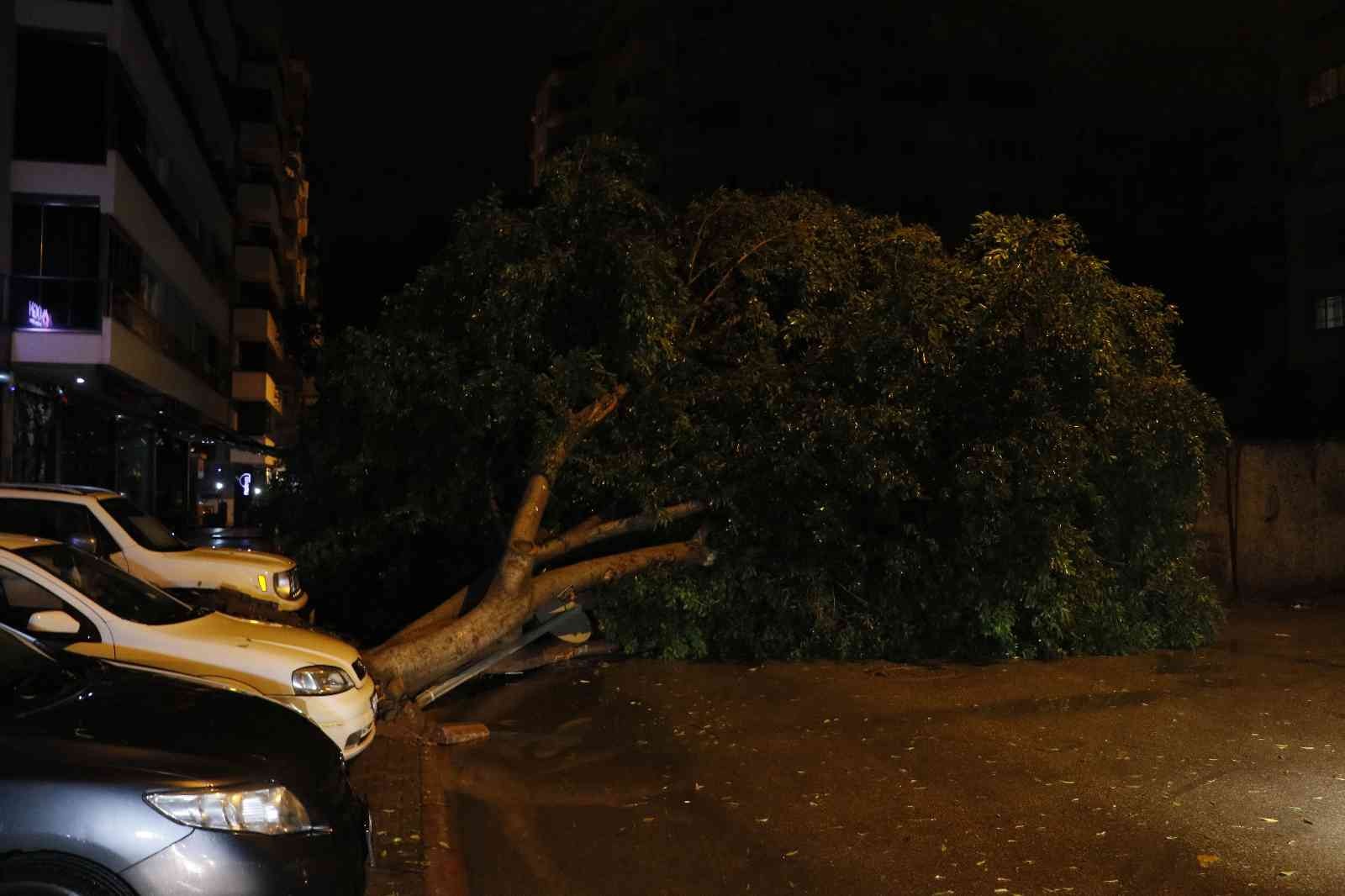 Adana’da sağanak yağış ve rüzgar 7 metrelik ağacı devirdi #adana