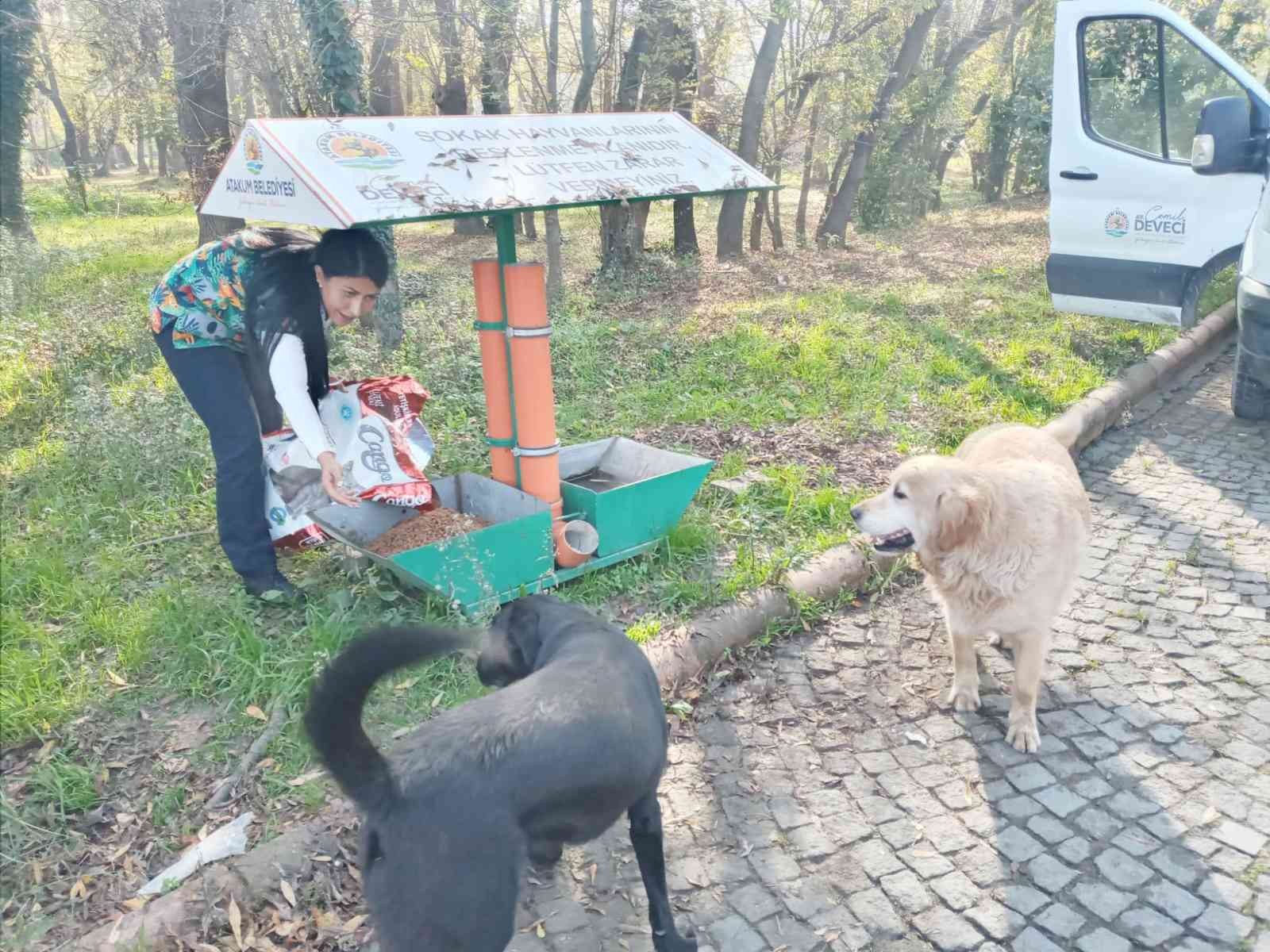 Atakum Belediyesi’nden sokak hayvanlarına 9 ton mama desteği #samsun