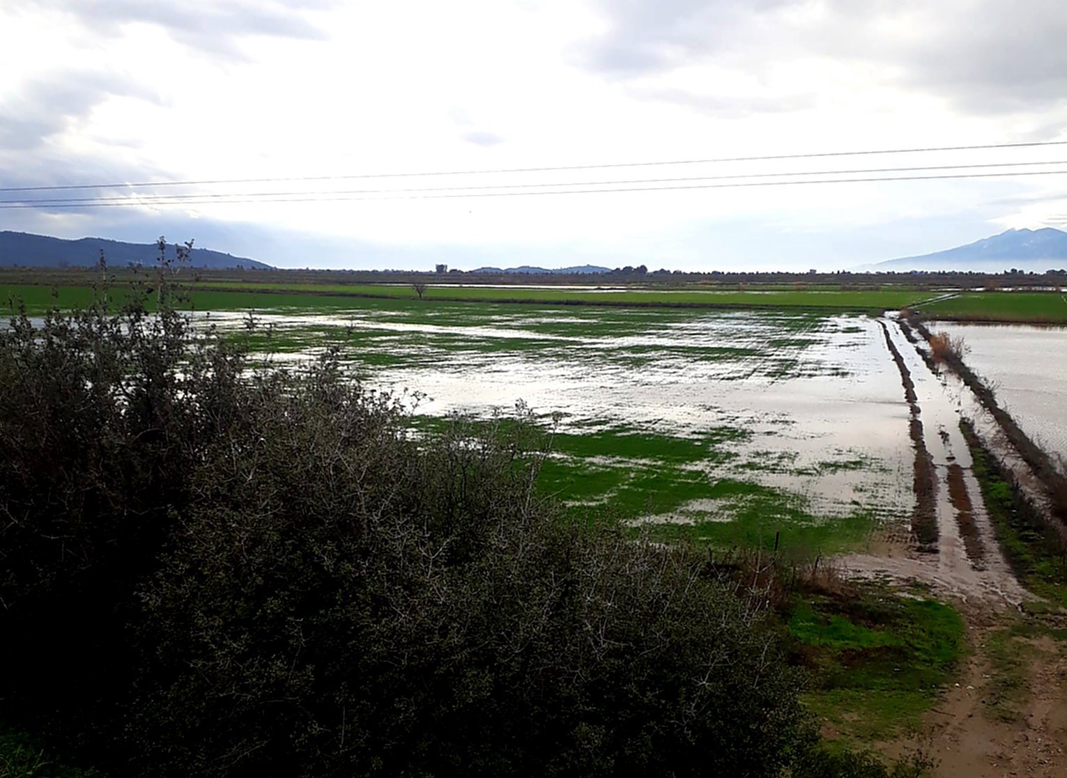 Söke’de yağışlar yaklaşık 2 bin 500 dönüm araziyi sular altında bıraktı #aydin
