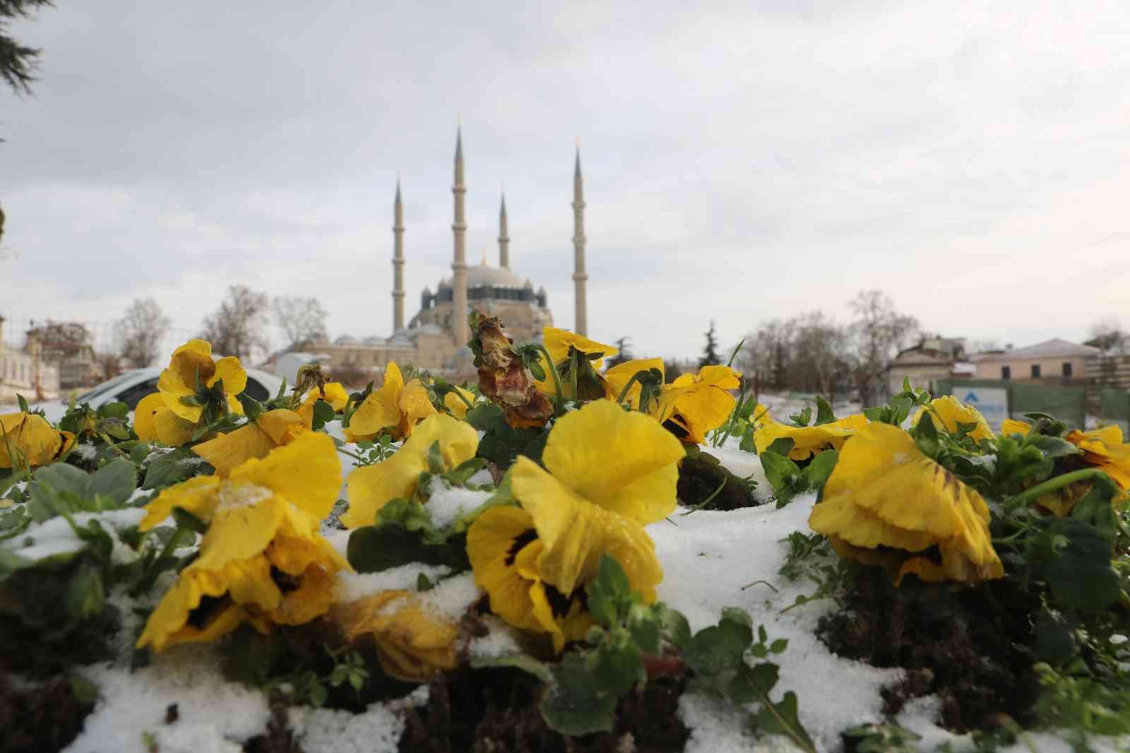 Edirne’de nehirler, yollar ve süs havuzları buz tuttu #edirne