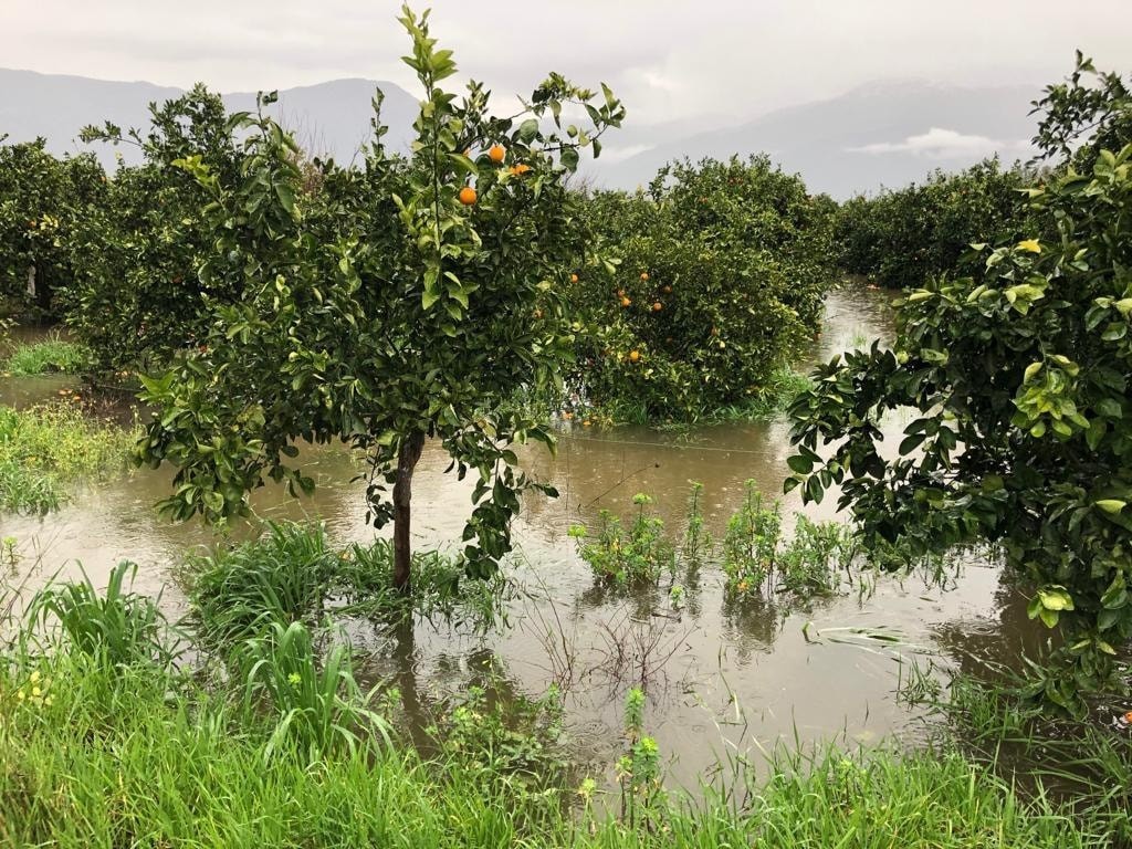 Köyceğiz’de aşırı yağışların meydana getirdiği zararlarla ilgili ön inceleme başlatıldı #mugla