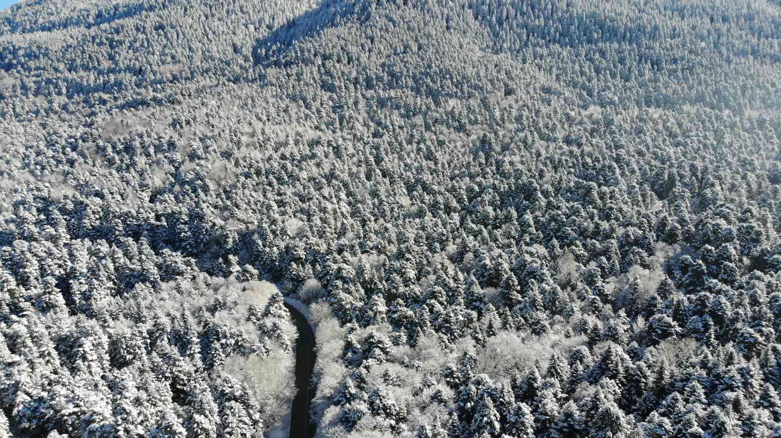Bolu’nun karla kaplı ormanları havadan görüntülendi #bolu